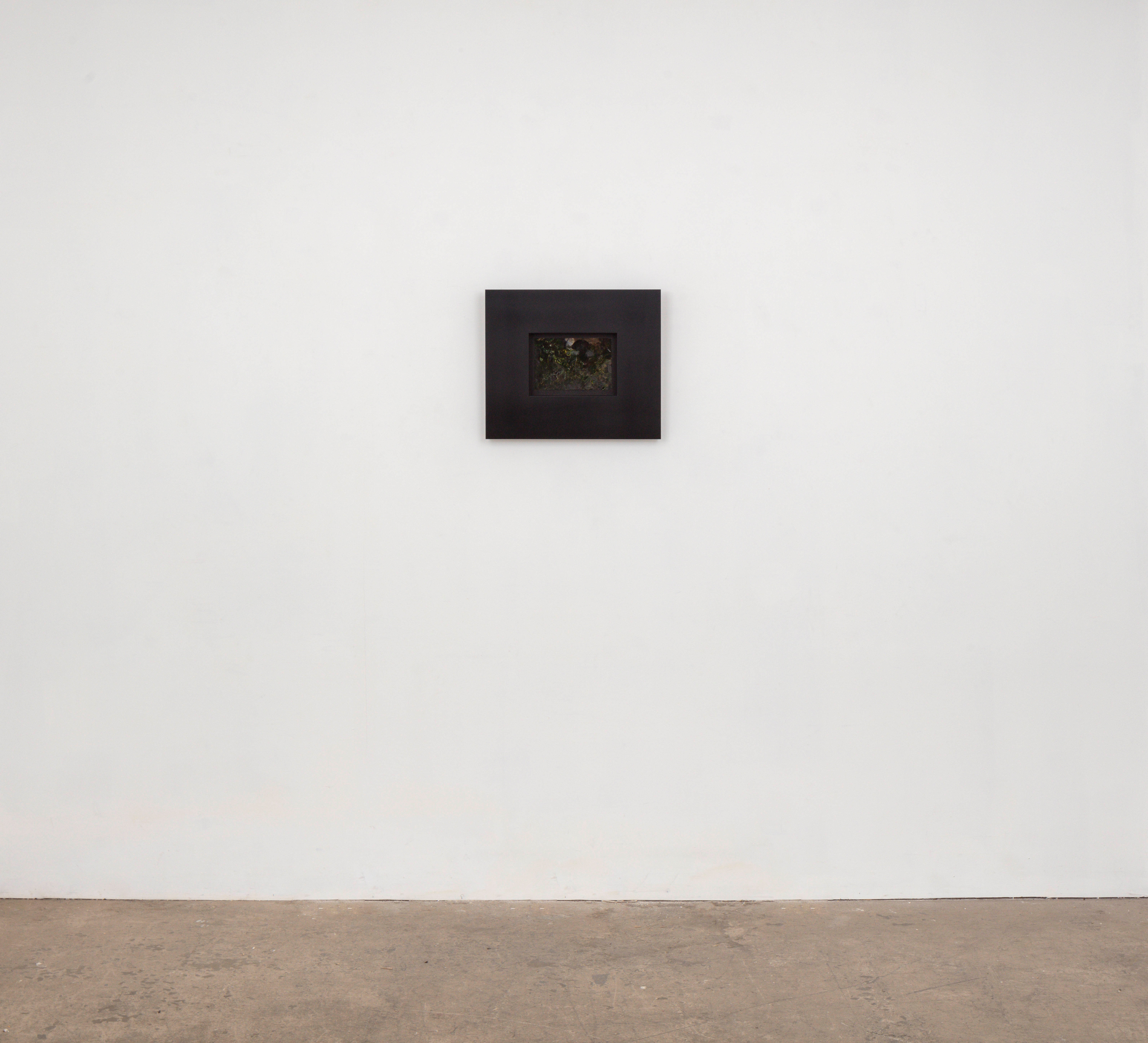 Rachel Rose, Colore (1812), 2024
