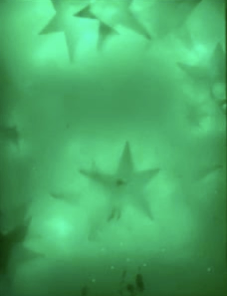 Koo Jeong A, seven stars, 2019