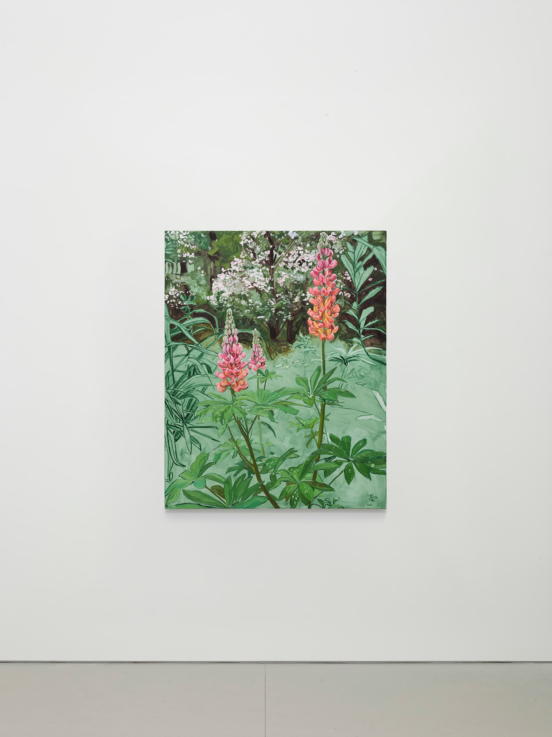 Jordan Casteel Lupine2024 Oil on canvas 127 x 101.6 x 3.6 cm 50 x 40 x 1 3/8 in