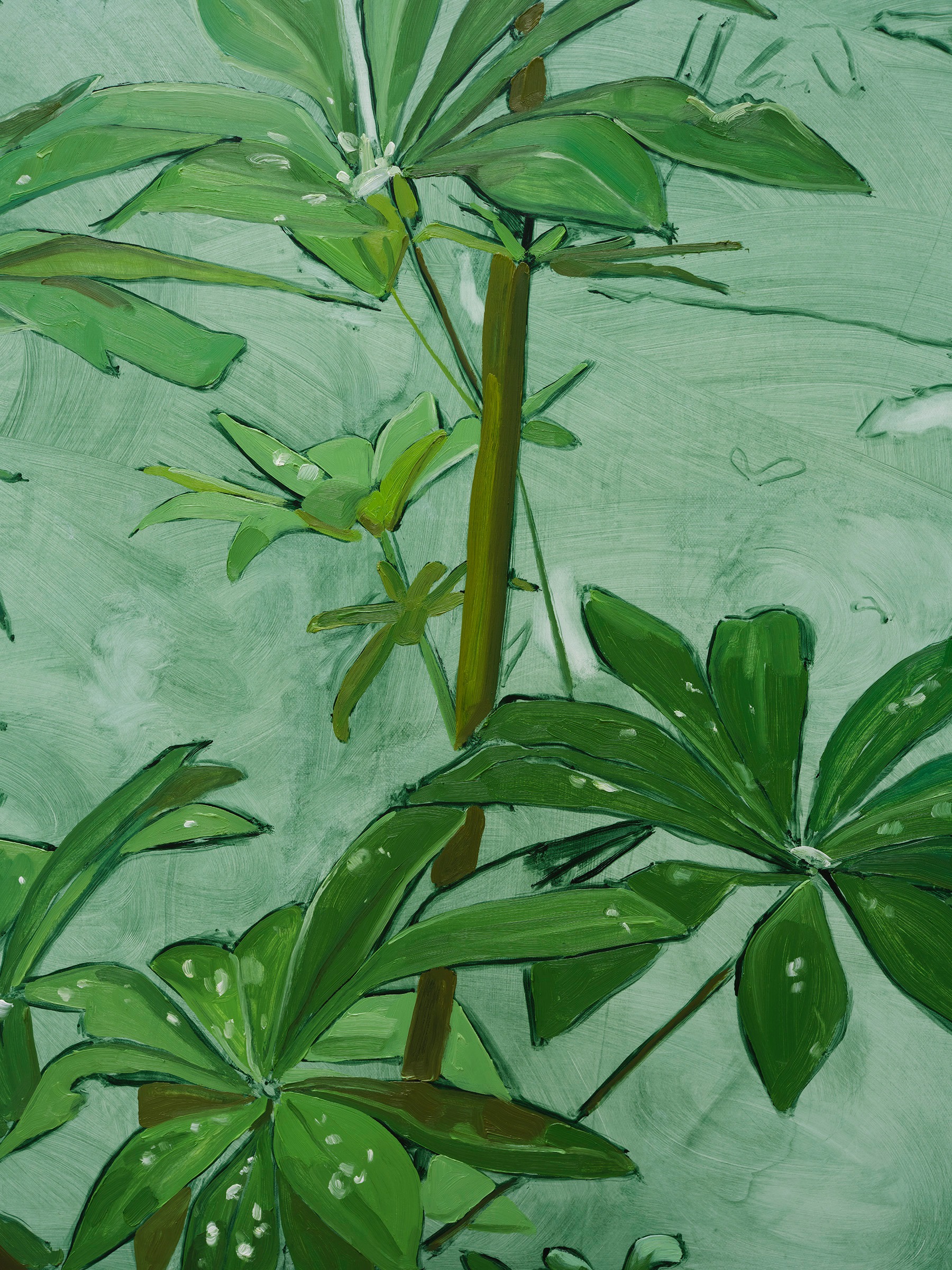 Jordan Casteel Lupine2024 Oil on canvas 127 x 101.6 x 3.6 cm 50 x 40 x 1 3/8 in