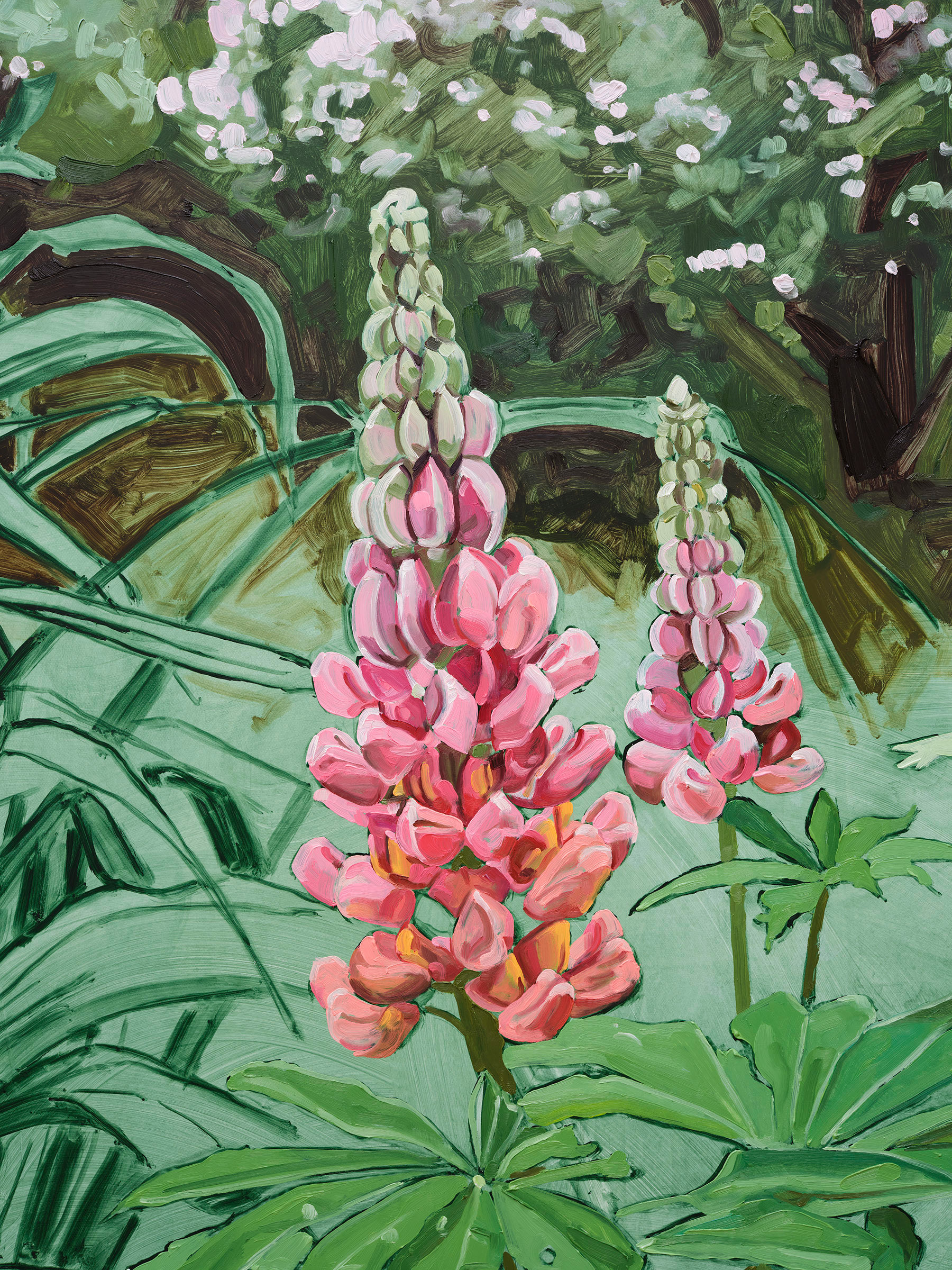 Jordan Casteel Lupine2024 Oil on canvas 127 x 101.6 x 3.6 cm 50 x 40 x 1 3/8 in