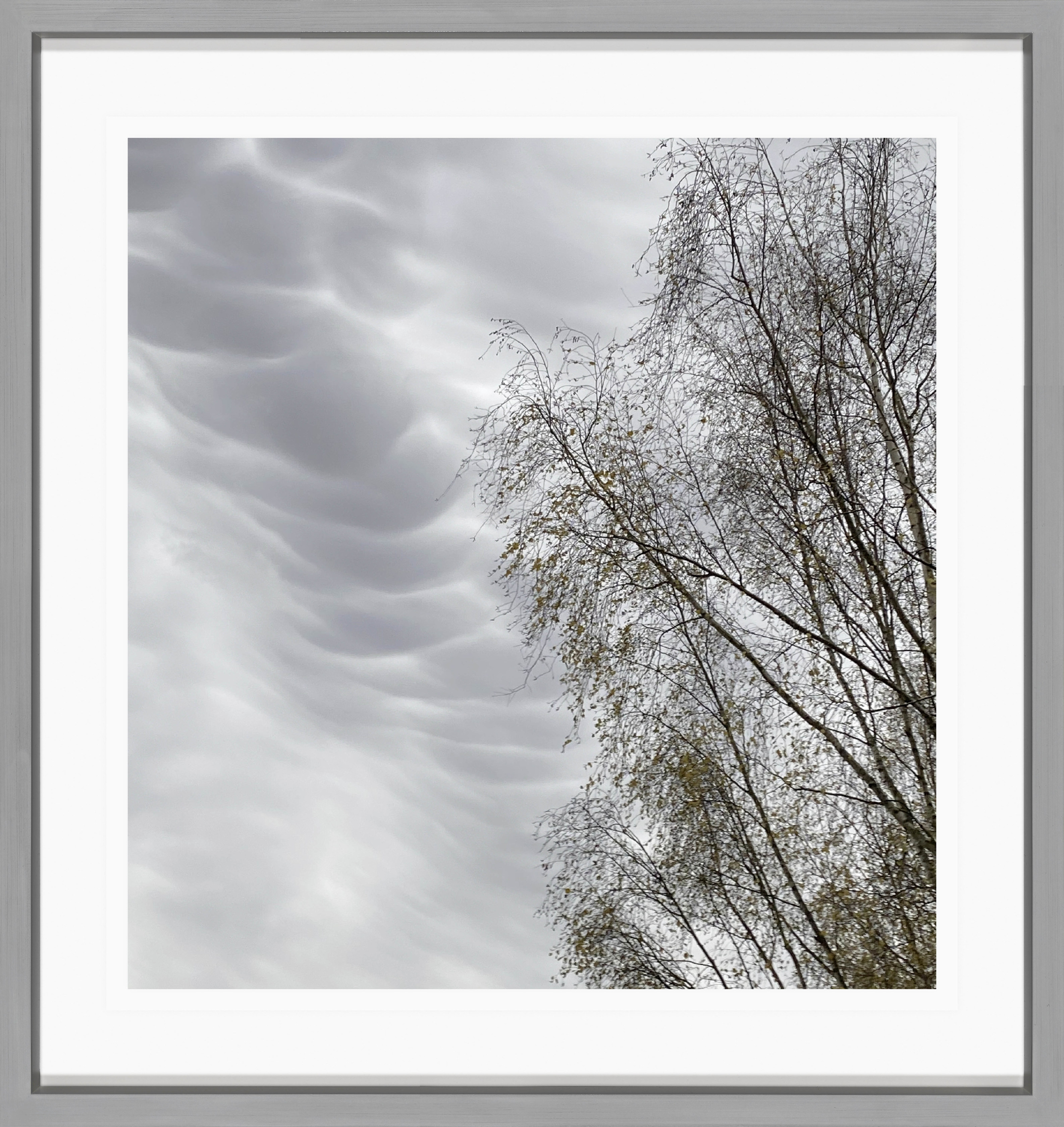 Sabine Moritz 15/11/20202020 Colour Photograph on paper 21 x 20 cm 8 1/4 x 7 7/8 in