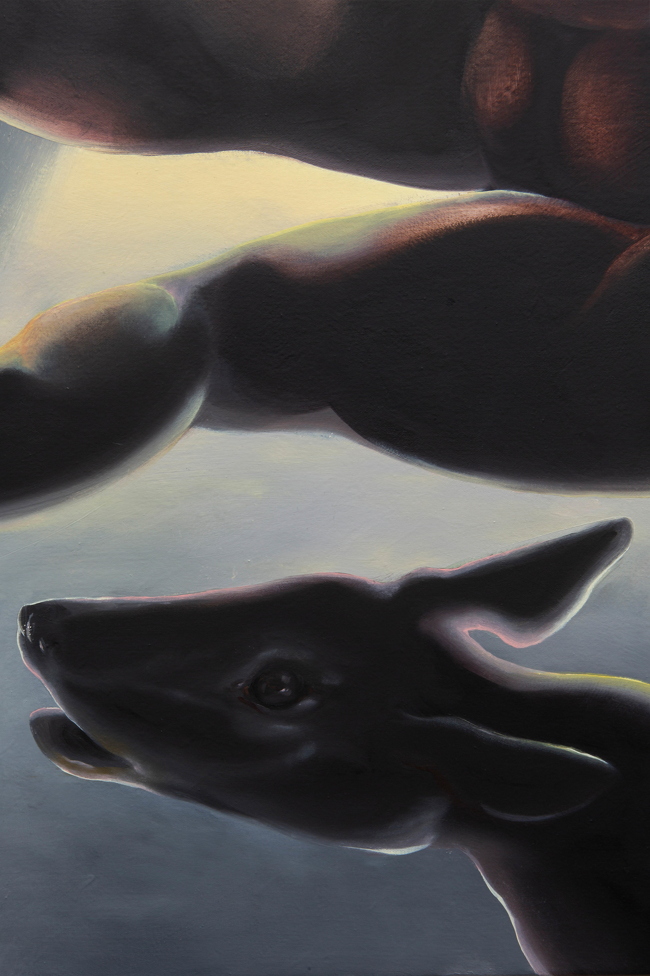 Kat Lyons, New Moon Light, 2020