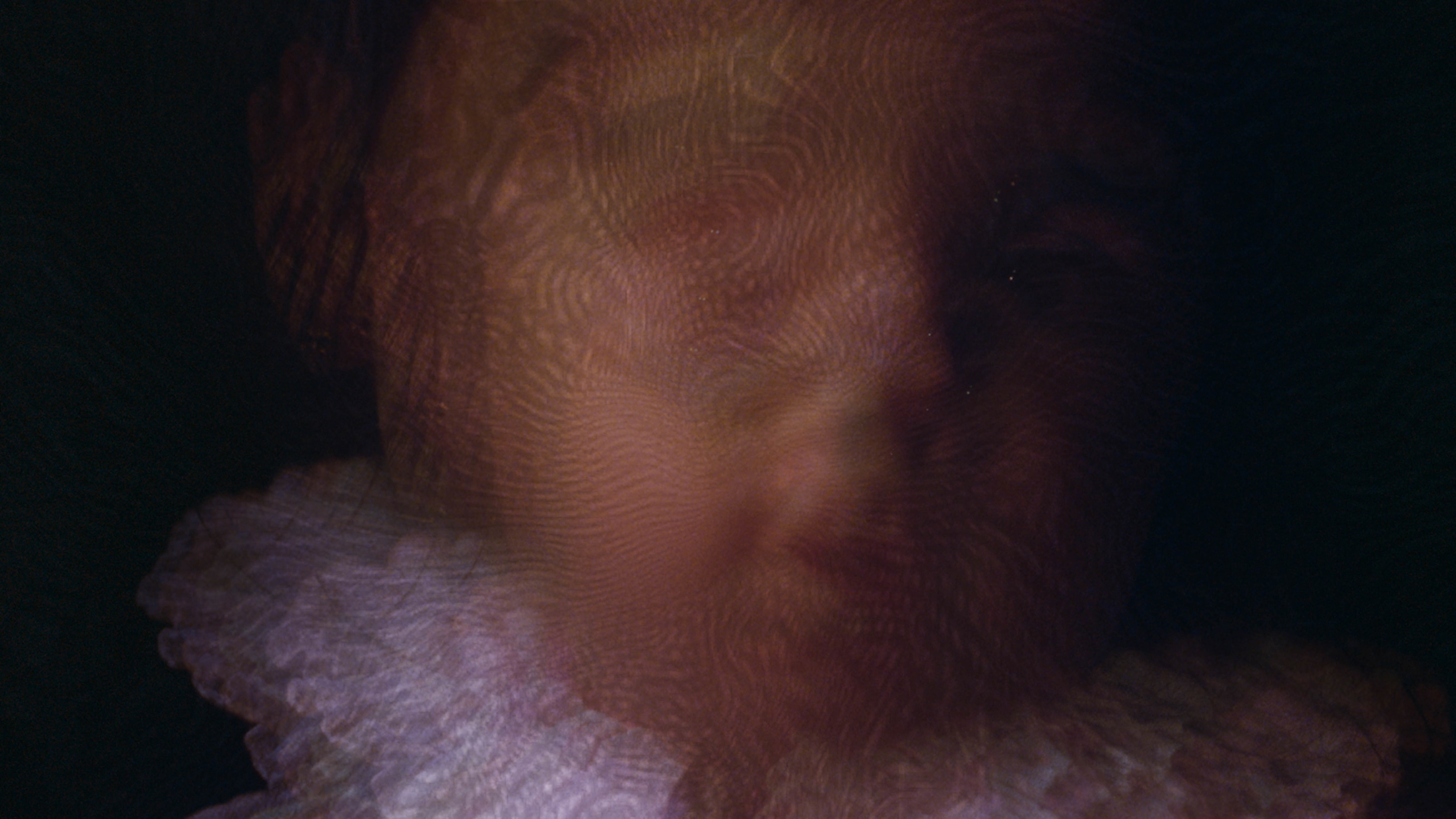 Rachel Rose, Wil-o-Wisp, 2018