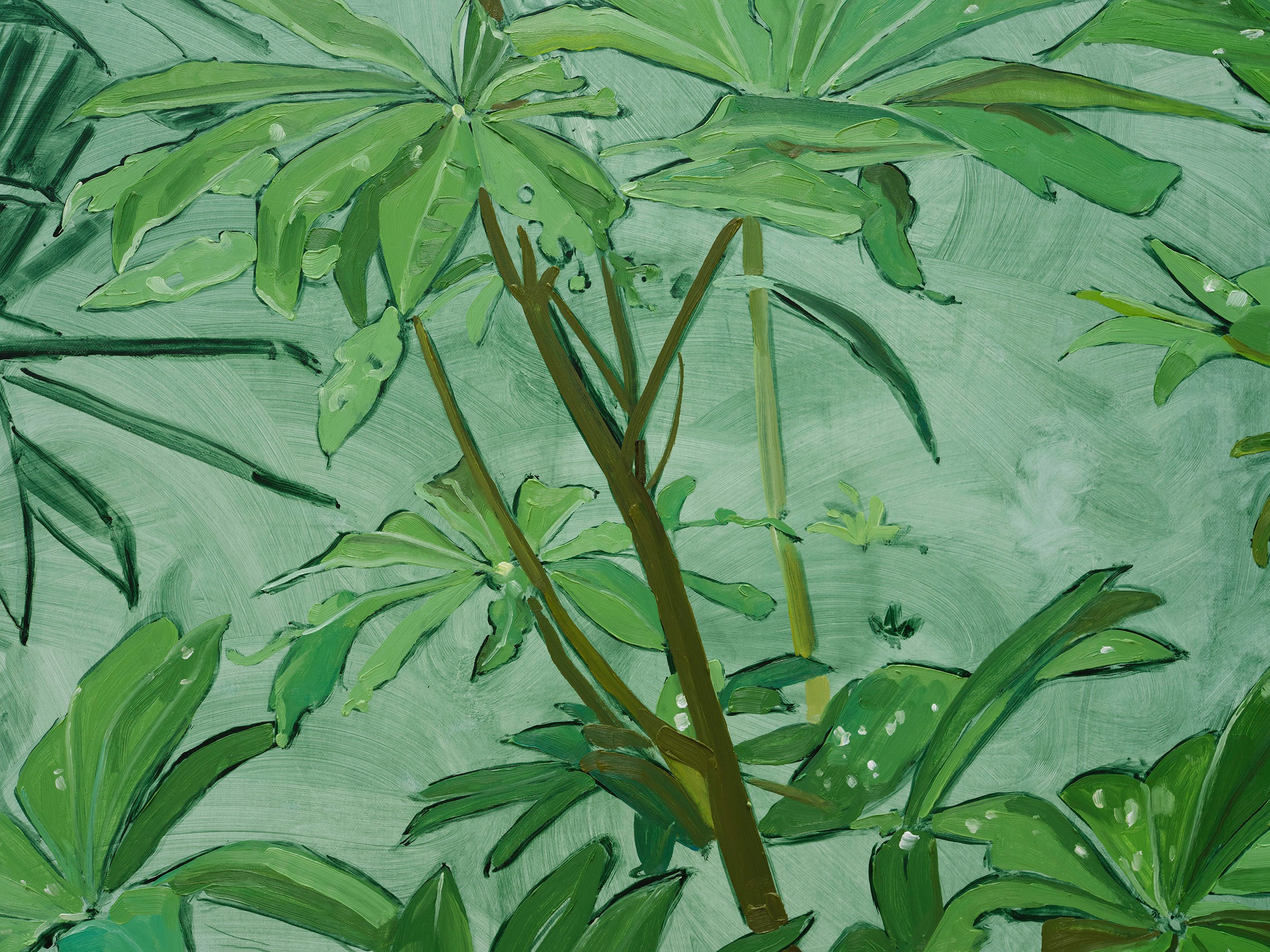 Jordan Casteel Lupine2024 Oil on canvas 127 x 101.6 x 3.6 cm 50 x 40 x 1 3/8 in