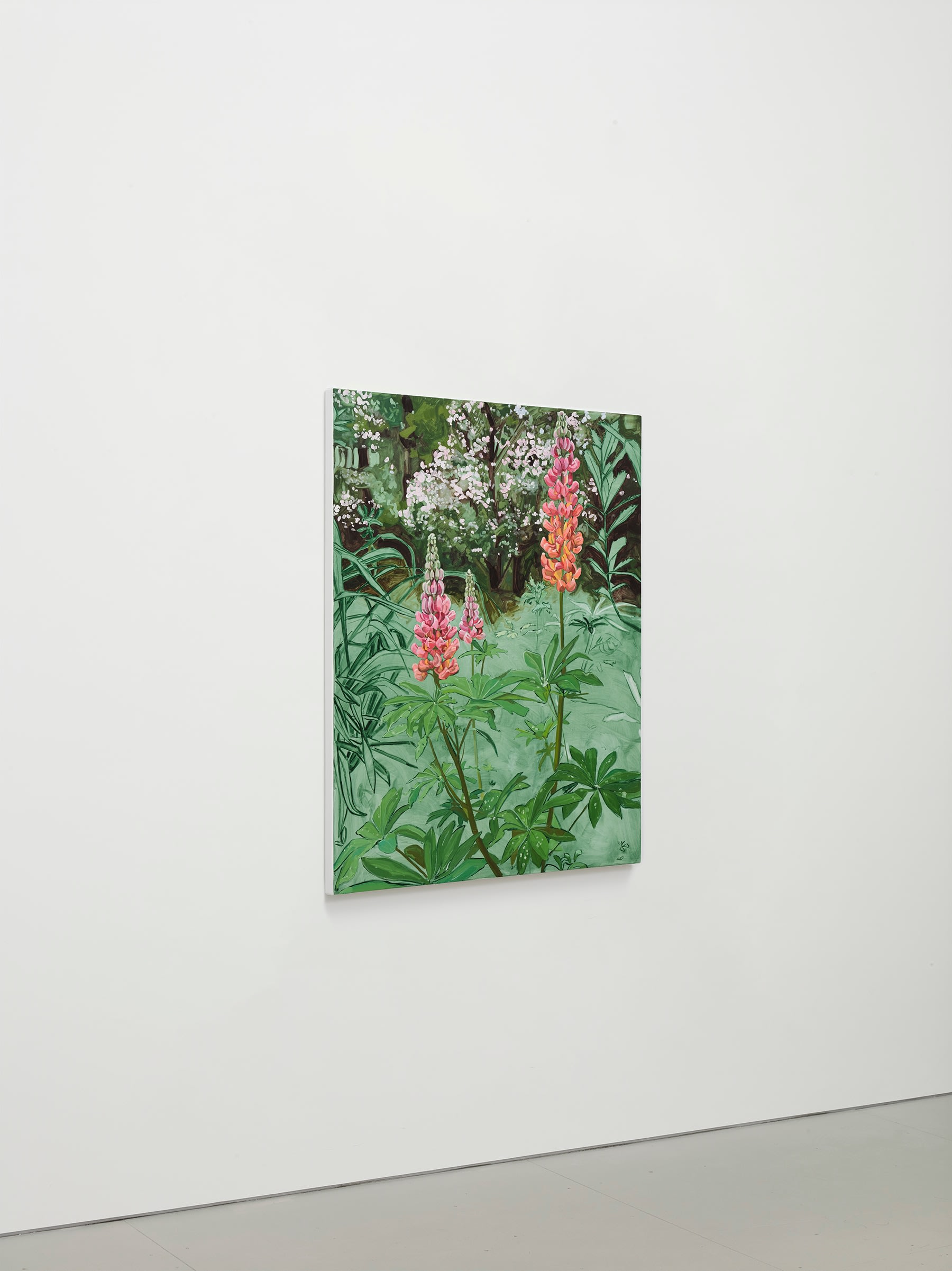 Jordan Casteel Lupine2024 Oil on canvas 127 x 101.6 x 3.6 cm 50 x 40 x 1 3/8 in