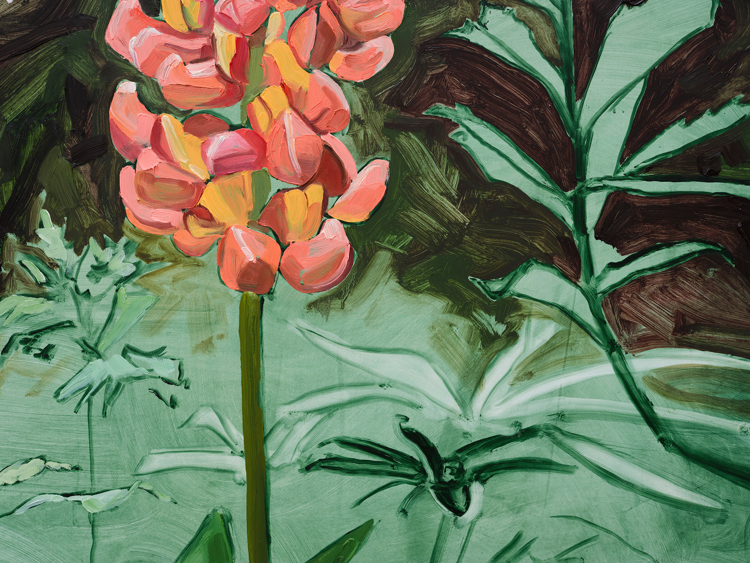 Jordan Casteel Lupine2024 Oil on canvas 127 x 101.6 x 3.6 cm 50 x 40 x 1 3/8 in