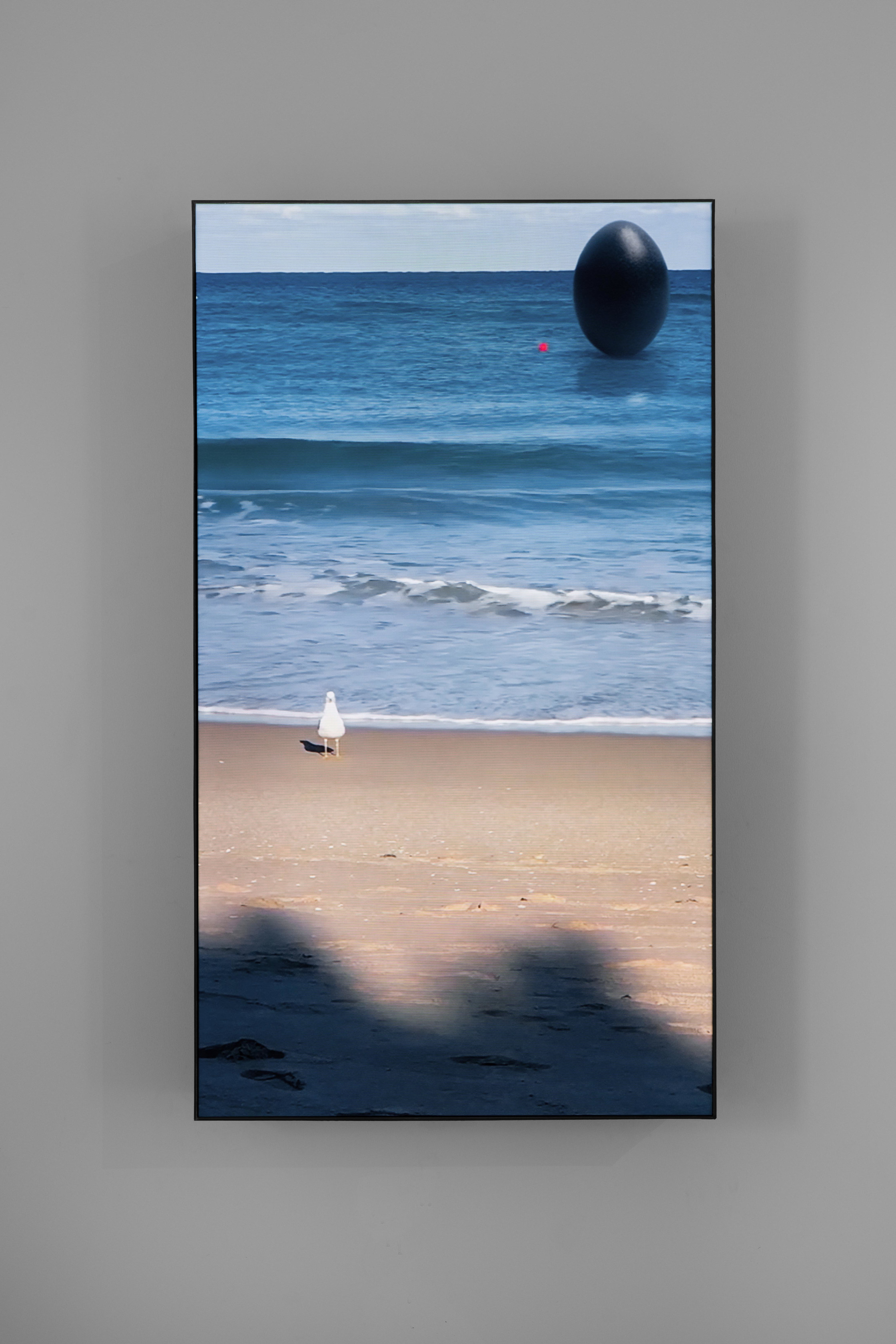 Rachel Rose, South Beach Seagull, 2020
