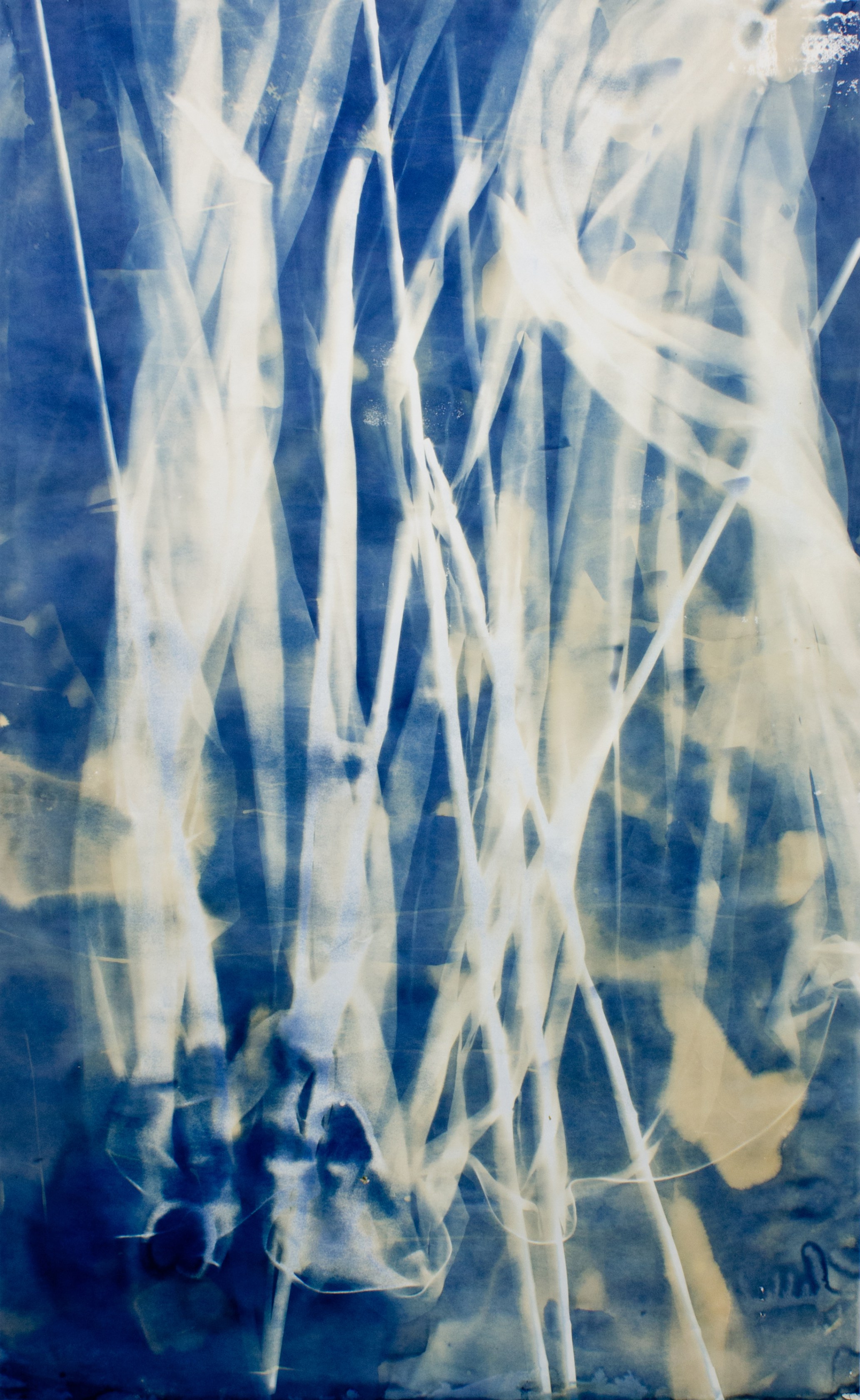 Ulla von Brandenburg, Vorhang Blau 12, Angeln, 2019