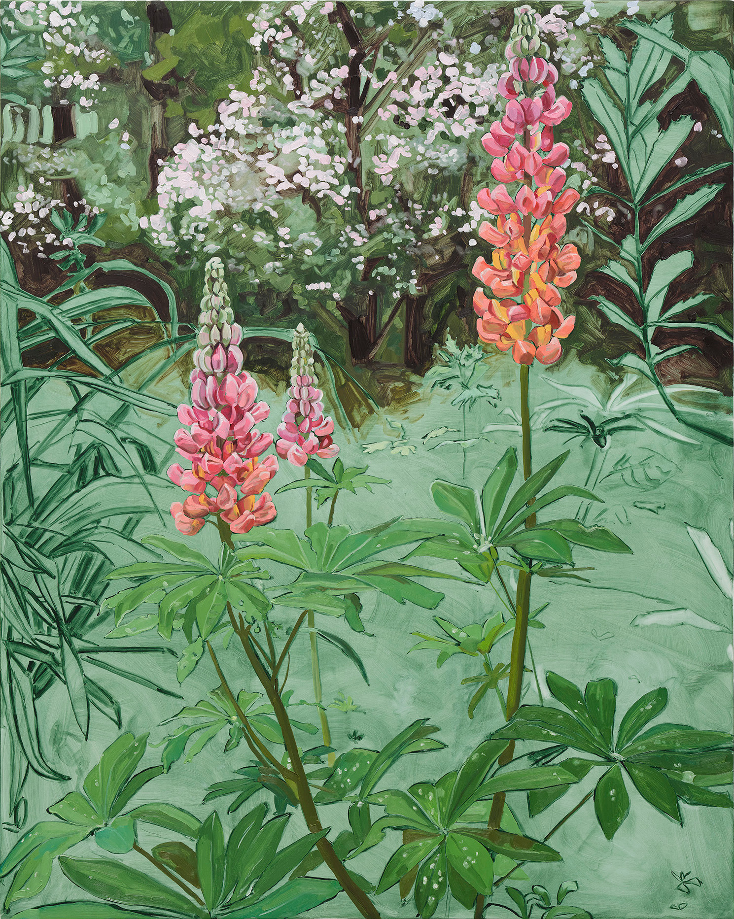 Jordan Casteel Lupine2024 Oil on canvas 127 x 101.6 x 3.6 cm 50 x 40 x 1 3/8 in