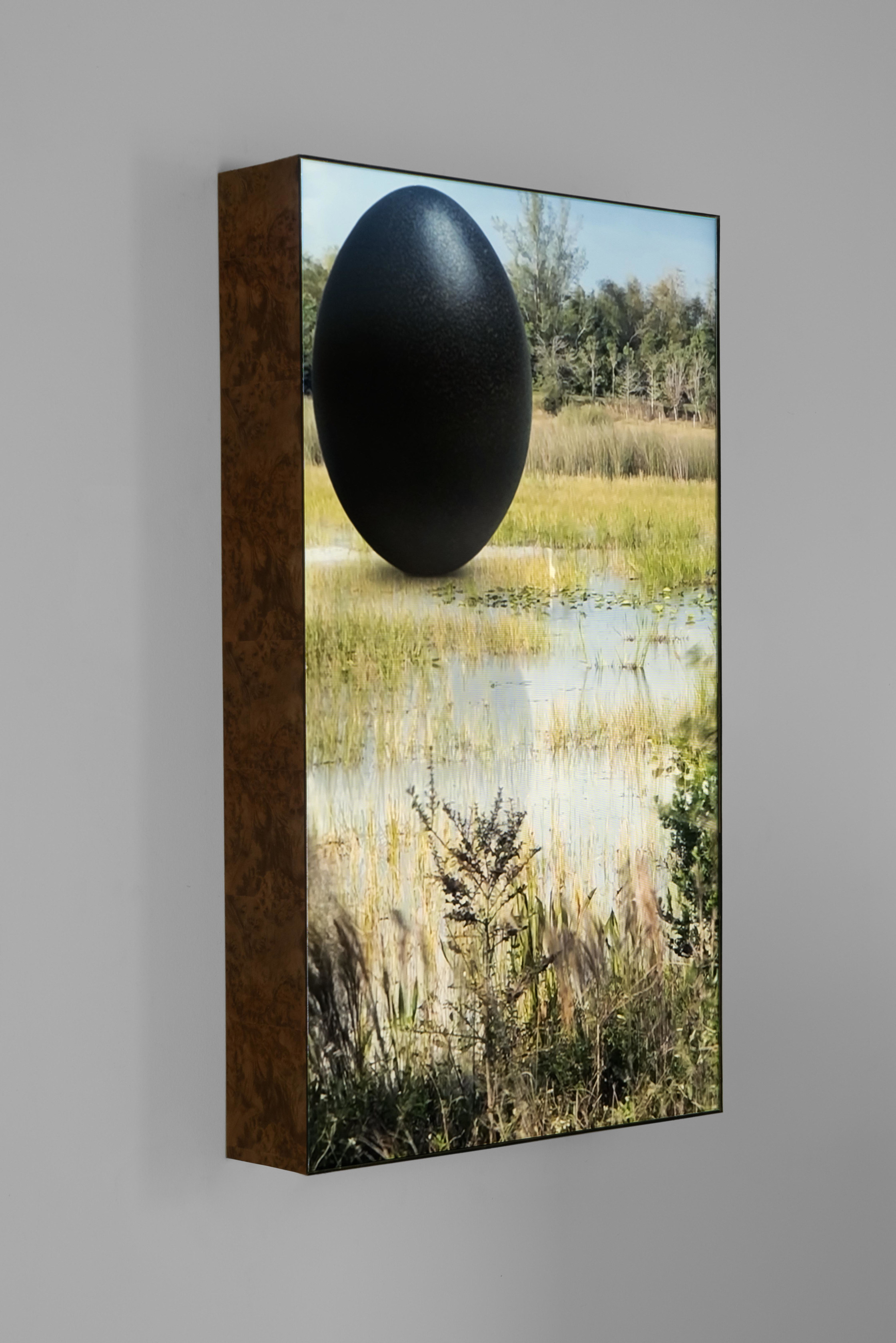 Rachel Rose, Everglades Egret, 2020