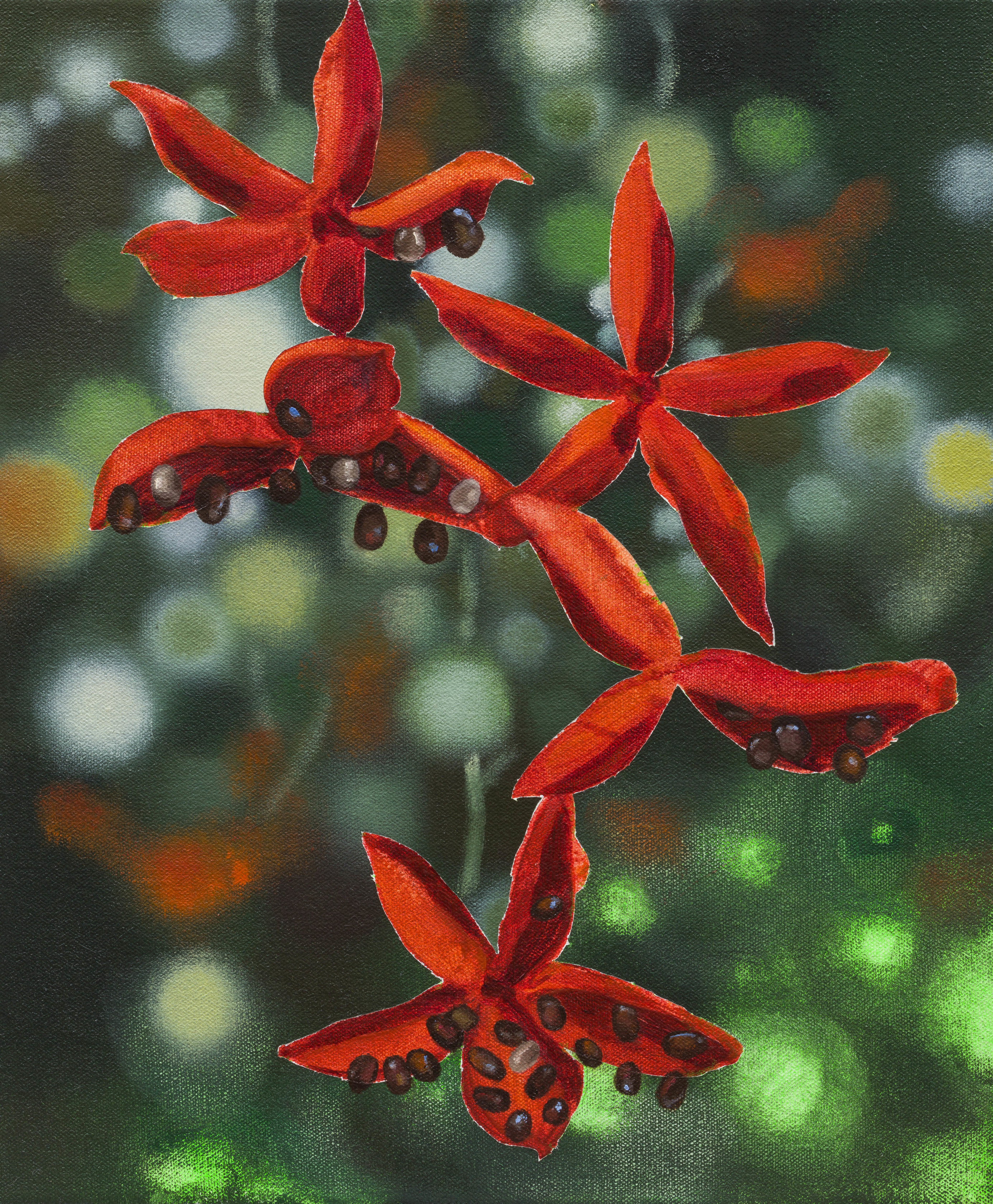 Vivien Zhang Sterculia vii2023 Acrylic and oil on canvas 30.5 x 25.4 cm 12 x 10 in