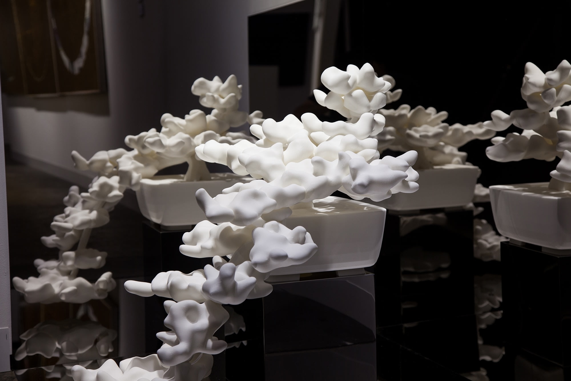 Rirkrit Tiravanija, untitled 2013 (indexical shadow no.1), 2013-17