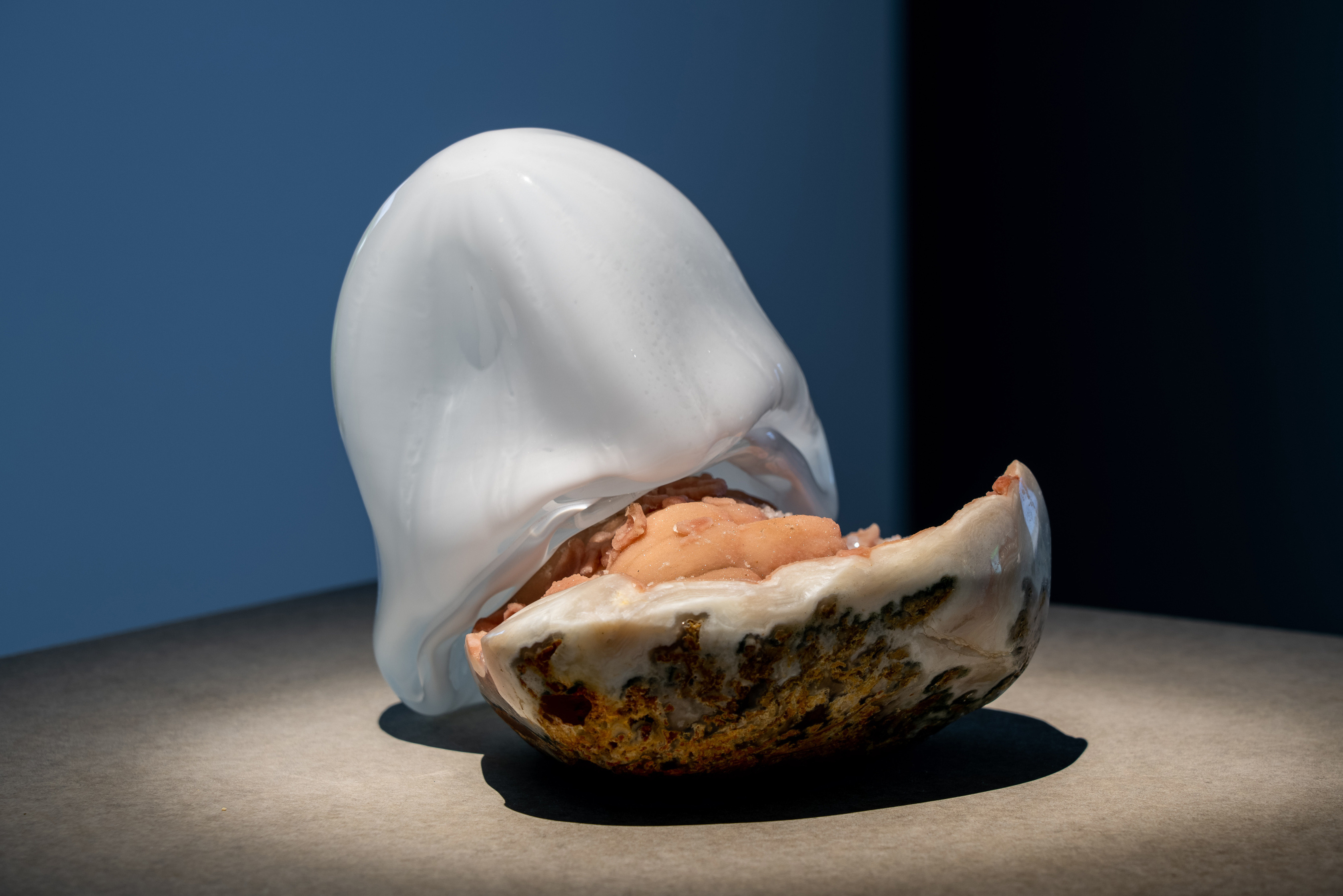 Rachel Rose, Seventh Born, 2019