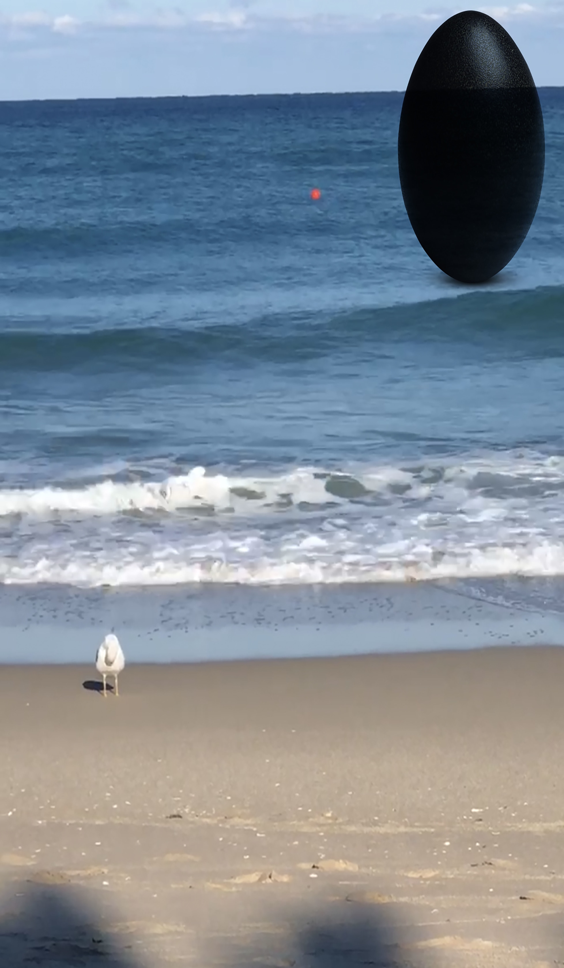 Rachel Rose, South Beach Seagull, 2020