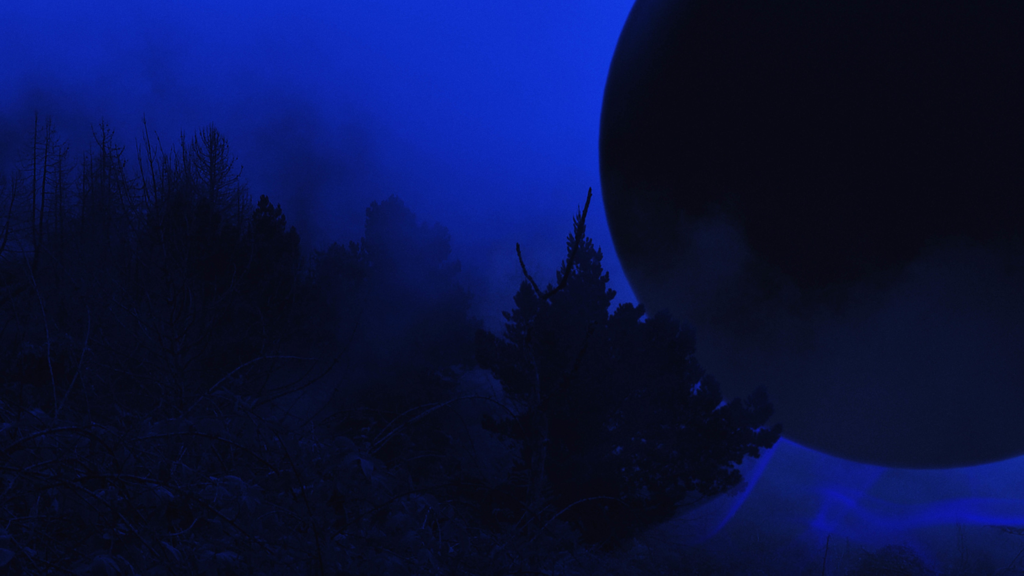 Rachel Rose, Enclosure, 2019