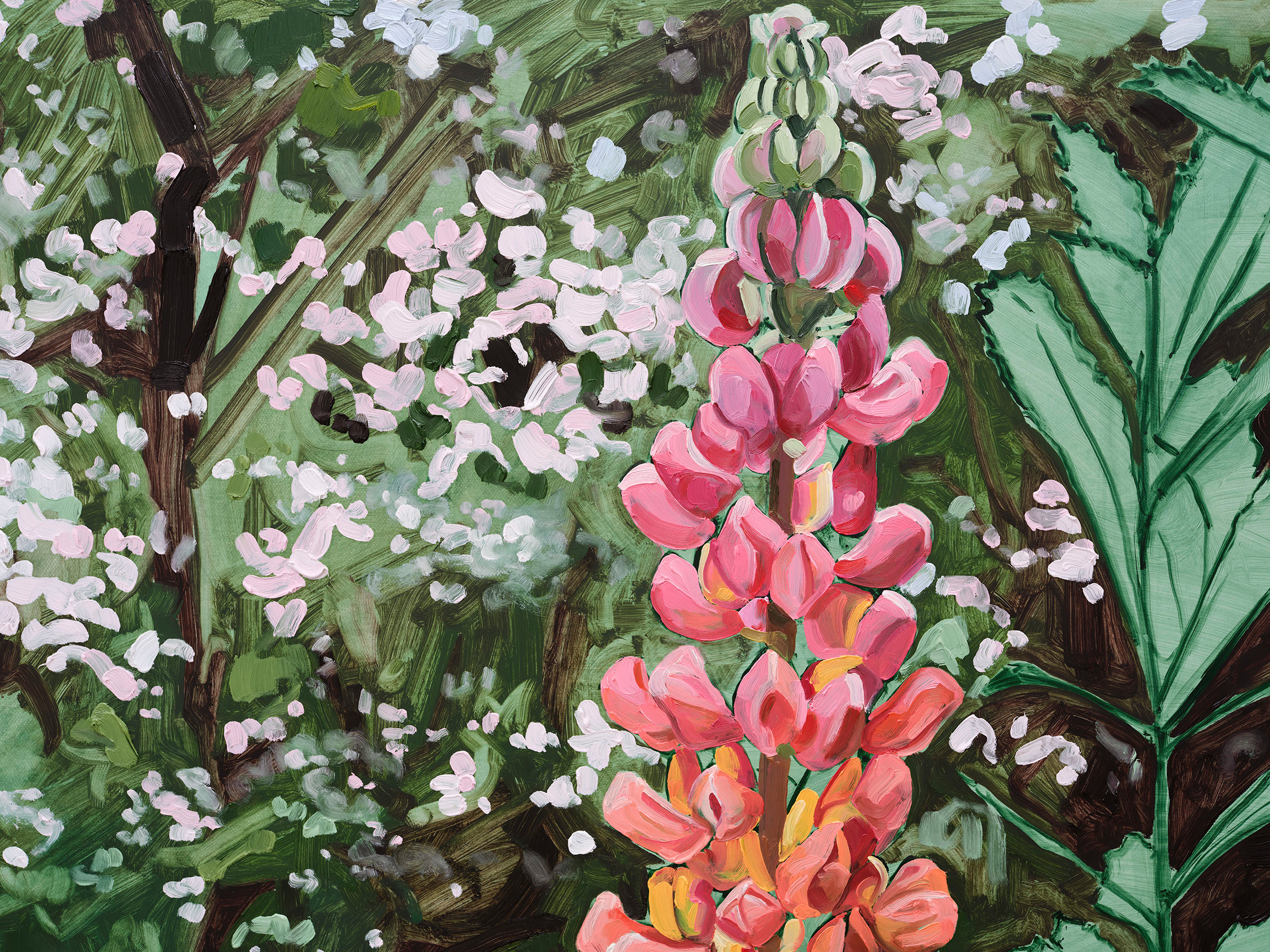 Jordan Casteel Lupine2024 Oil on canvas 127 x 101.6 x 3.6 cm 50 x 40 x 1 3/8 in