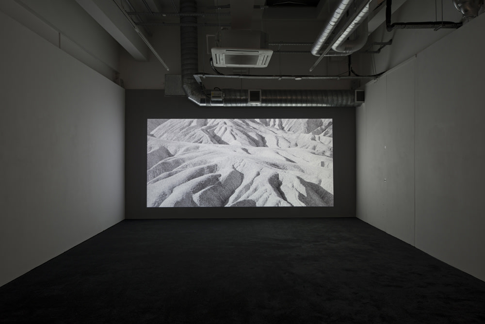 John Skoog: Shadowland, Pilar Corrias, London, 6 March - 17 April 2015