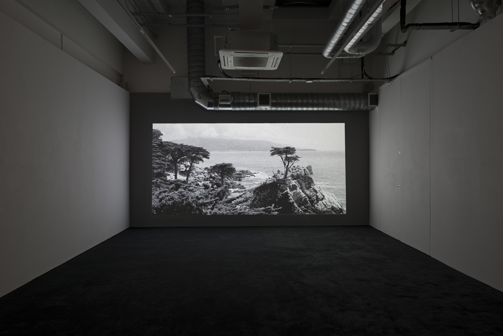 John Skoog: Shadowland, Pilar Corrias, London, 6 March - 17 April 2015