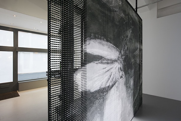 Philippe Parreno: With a Rhythmic Instinction to be Able to Travel Beyond Existing Forces of Life, Pilar Corrias, London, 14...