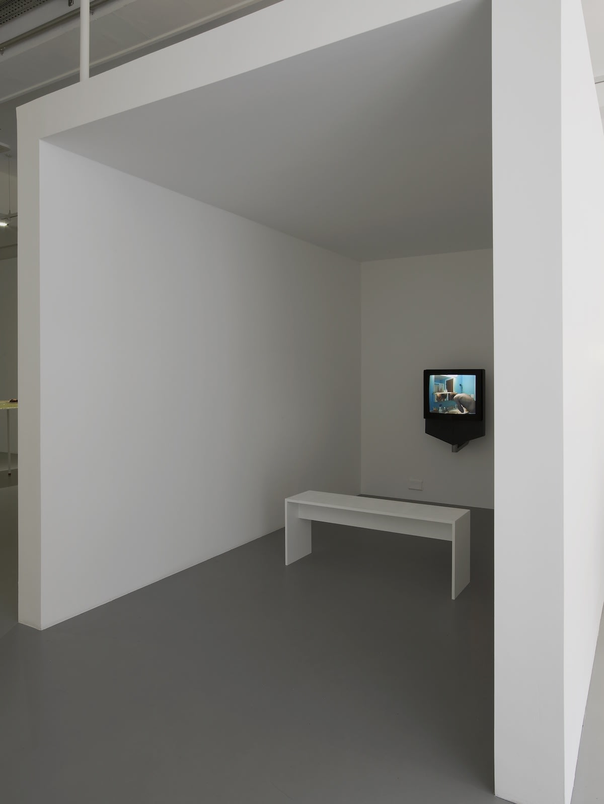 Phantom Limbs, Pilar Corrias, London, 27 June - 1 August 2014