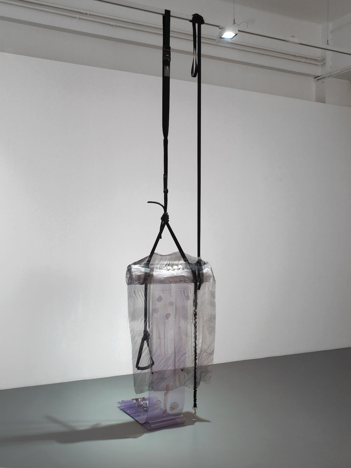 Phantom Limbs, Pilar Corrias, London, 27 June - 1 August 2014