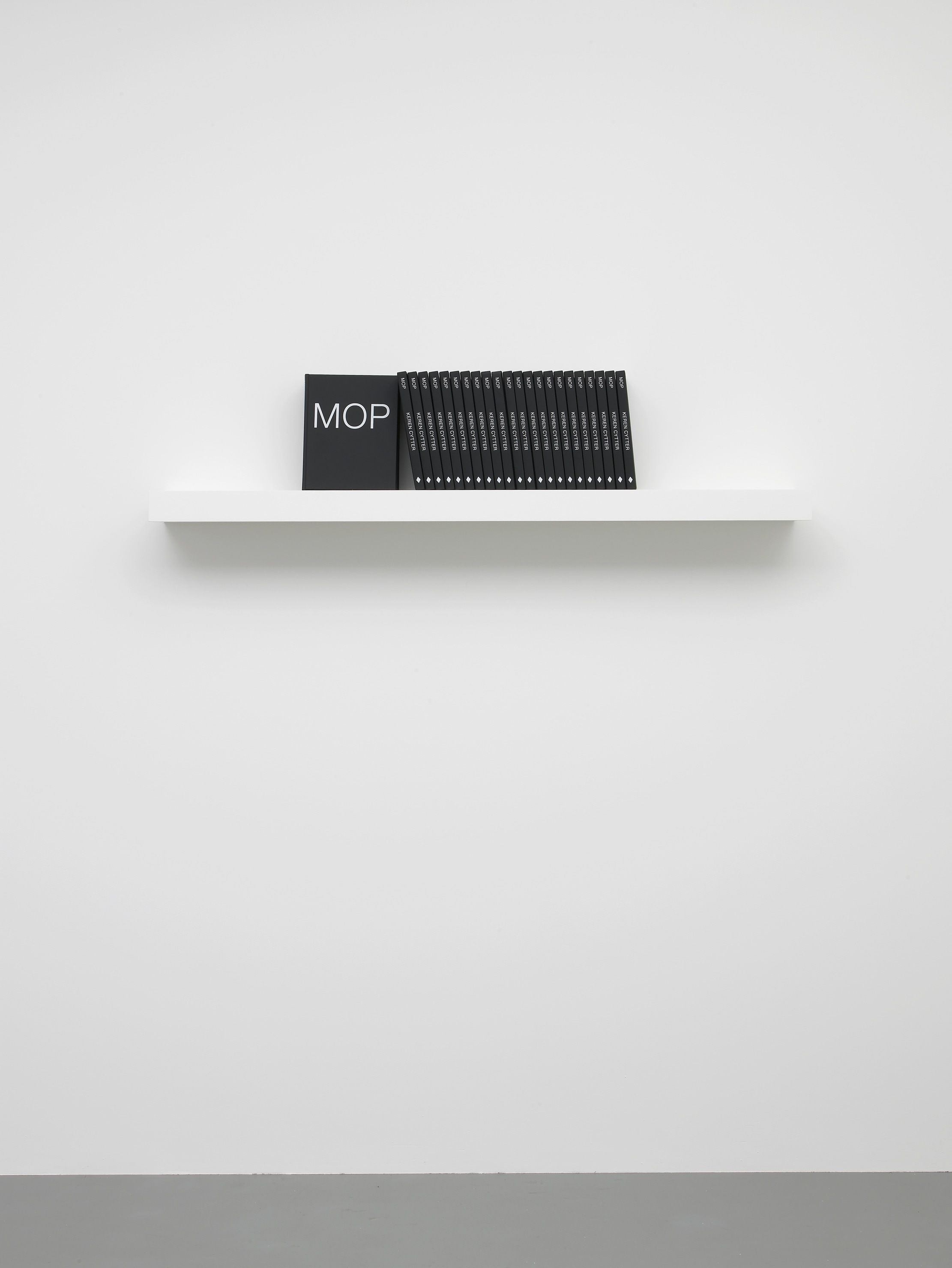 Keren Cytter: MOP VENGEANCE, Pilar Corrias, London, 15 October - 13 November 2013