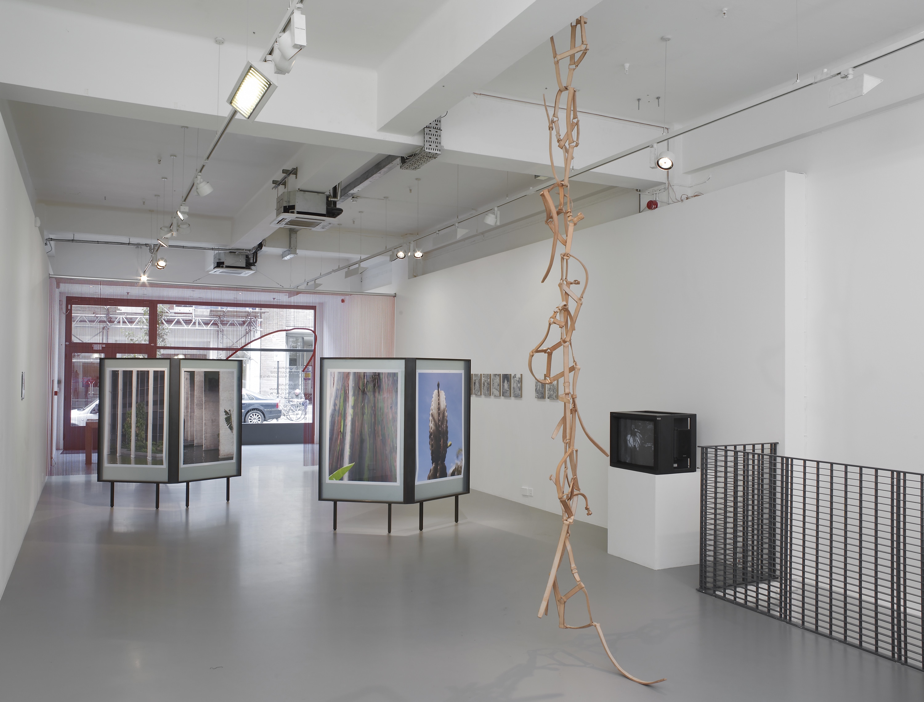 TopoDendroPhilia, Pilar Corrias, London, 5 July - 2 August, 2013