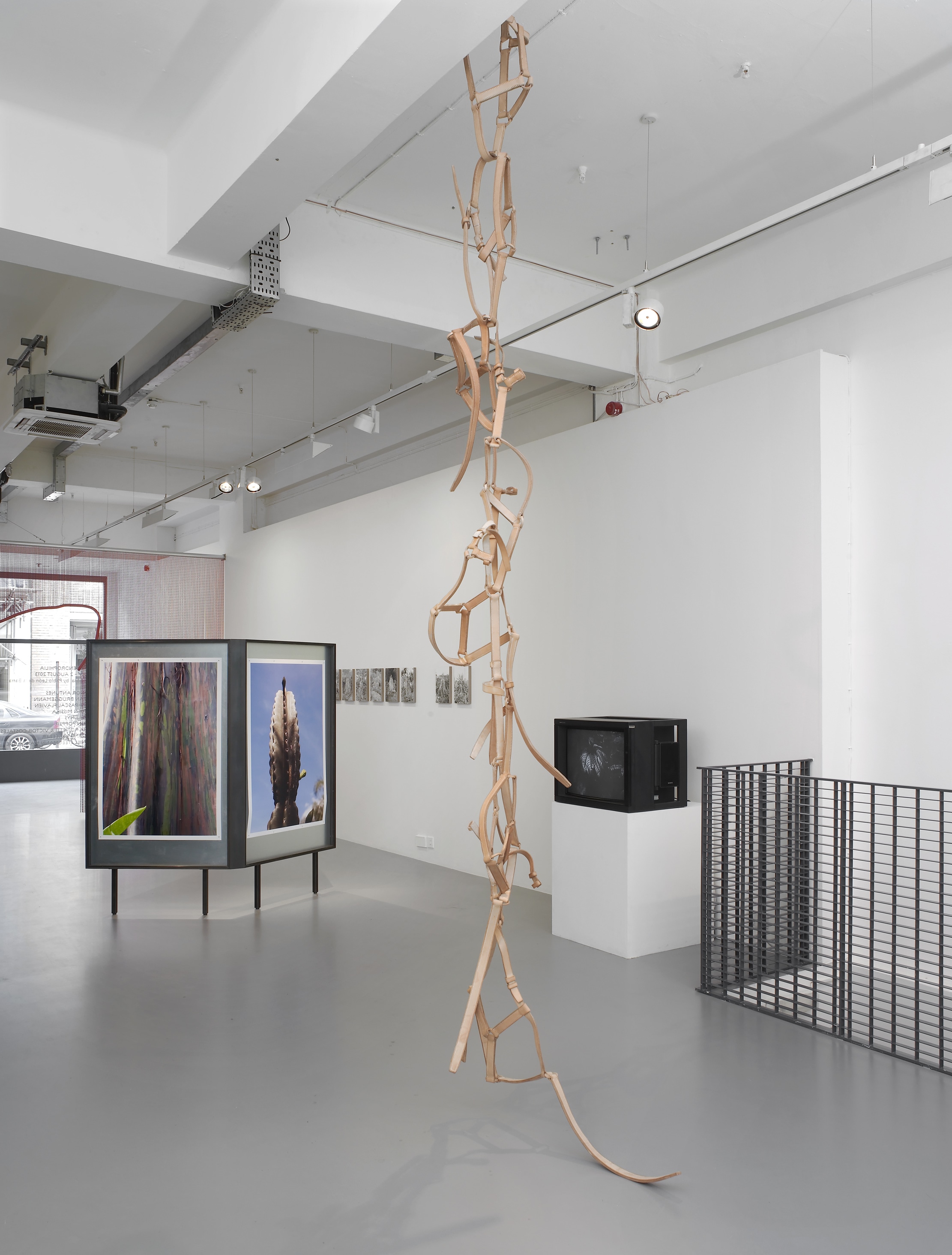 TopoDendroPhilia, Pilar Corrias, London, 5 July - 2 August, 2013