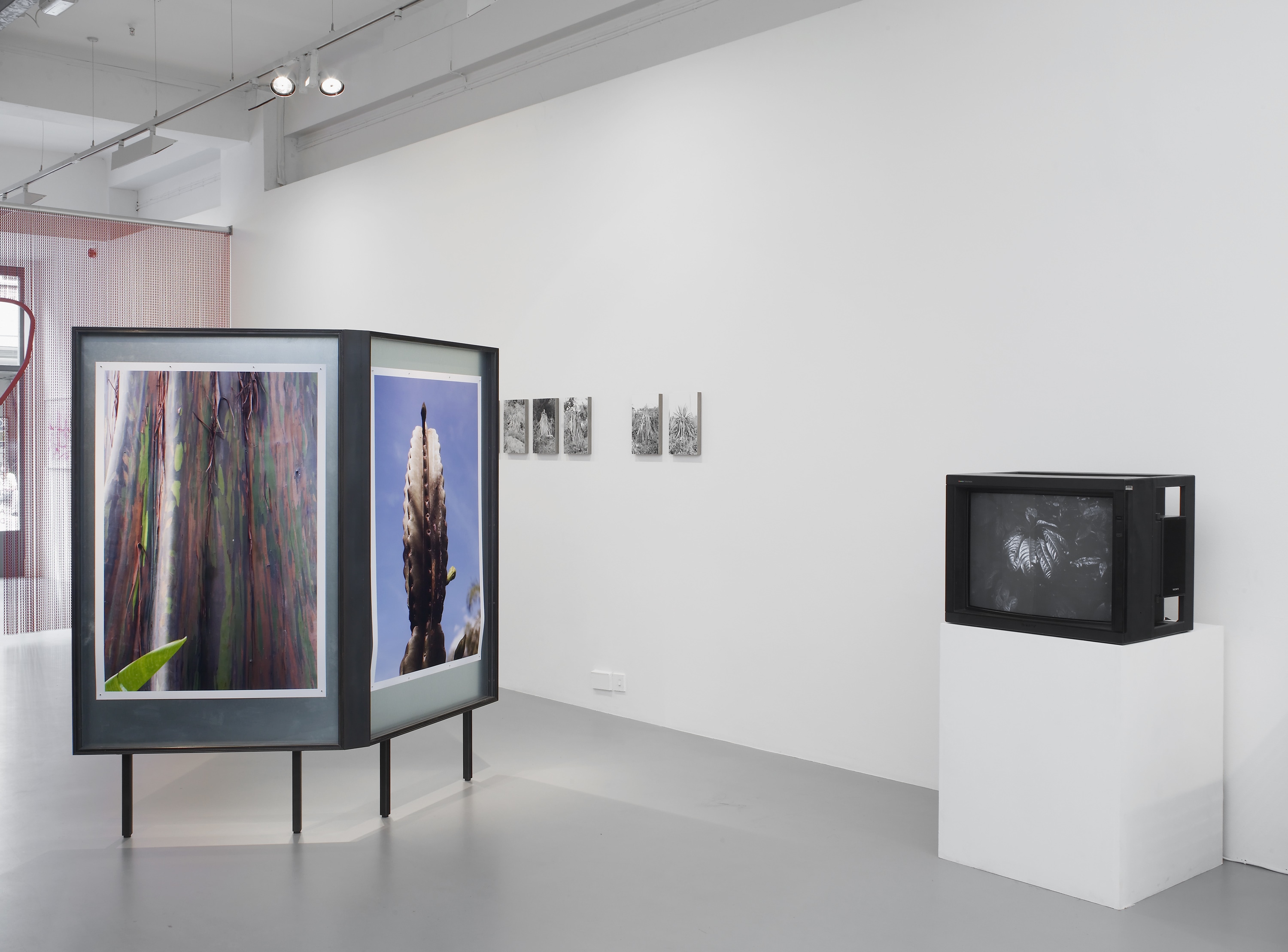 TopoDendroPhilia, Pilar Corrias, London, 5 July - 2 August, 2013