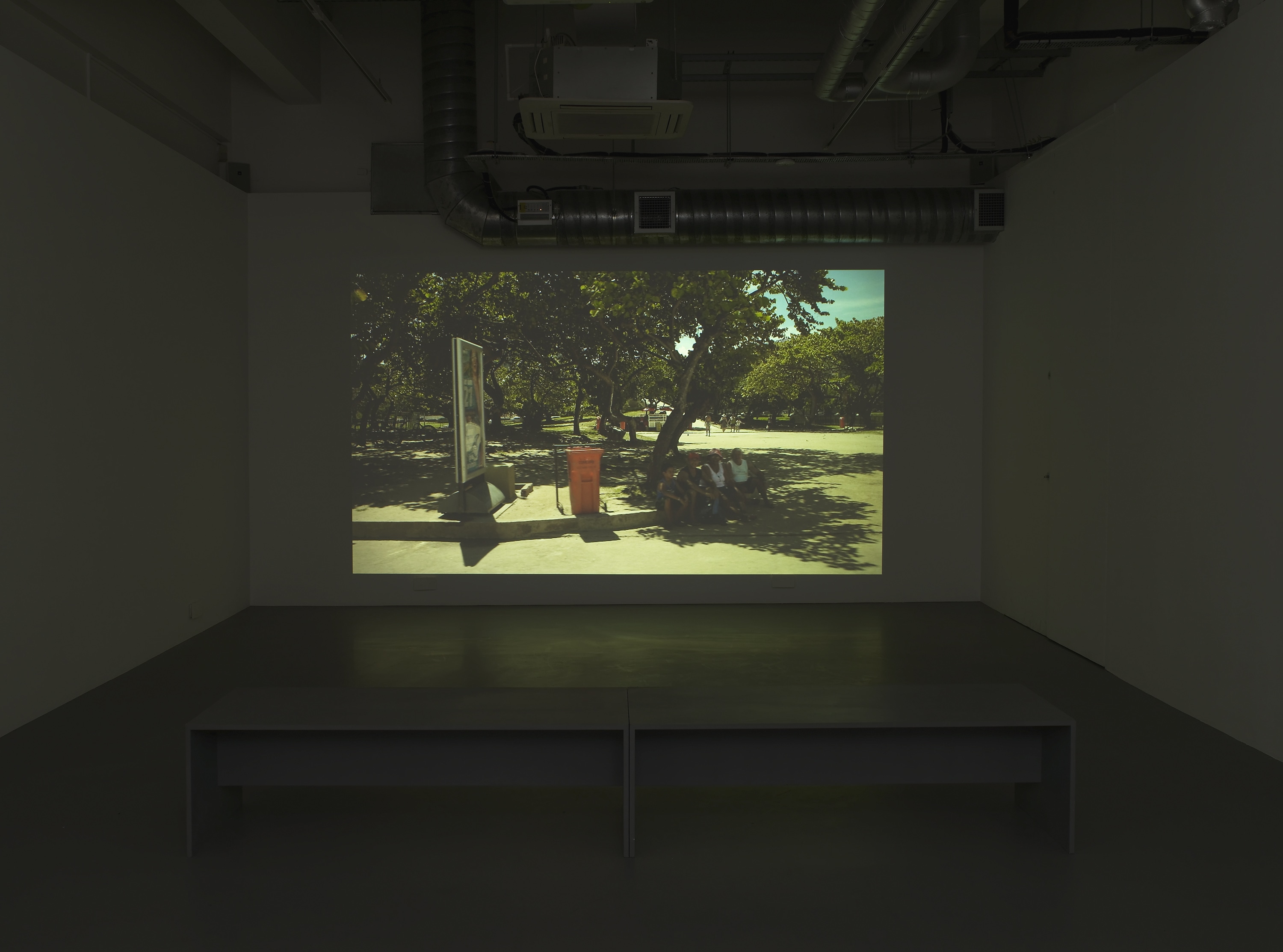 TopoDendroPhilia, Pilar Corrias, London, 5 July - 2 August, 2013