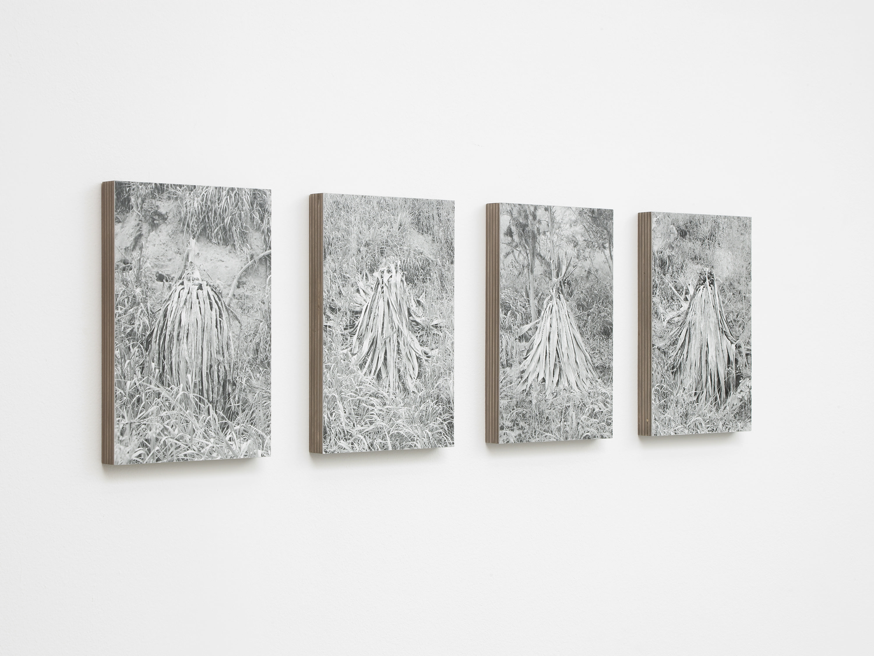 TopoDendroPhilia, Pilar Corrias, London, 5 July - 2 August, 2013