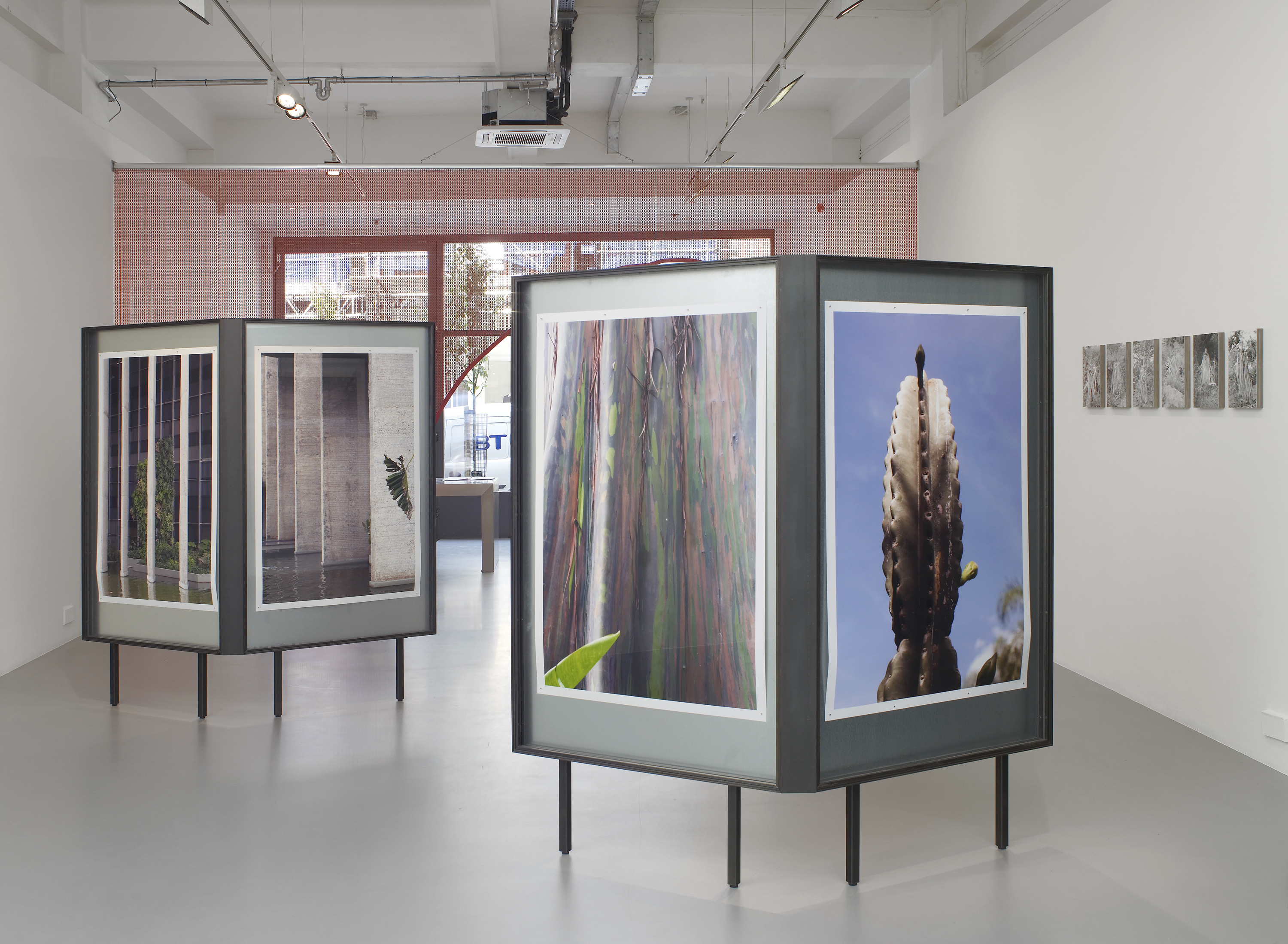 TopoDendroPhilia, Pilar Corrias, London, 5 July - 2 August, 2013