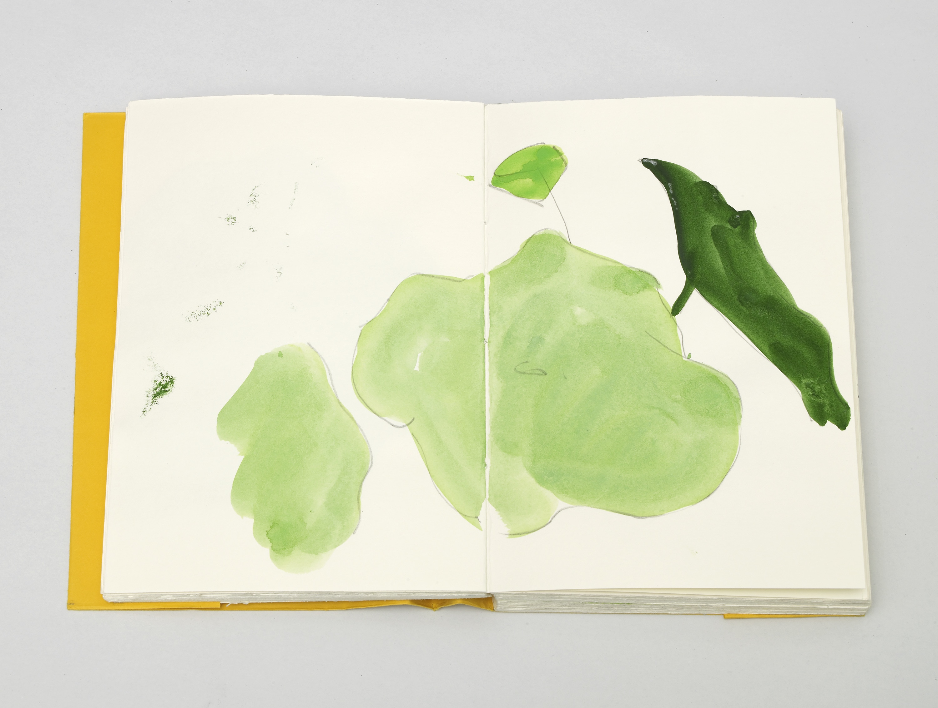 TopoDendroPhilia, Pilar Corrias, London, 5 July - 2 August, 2013