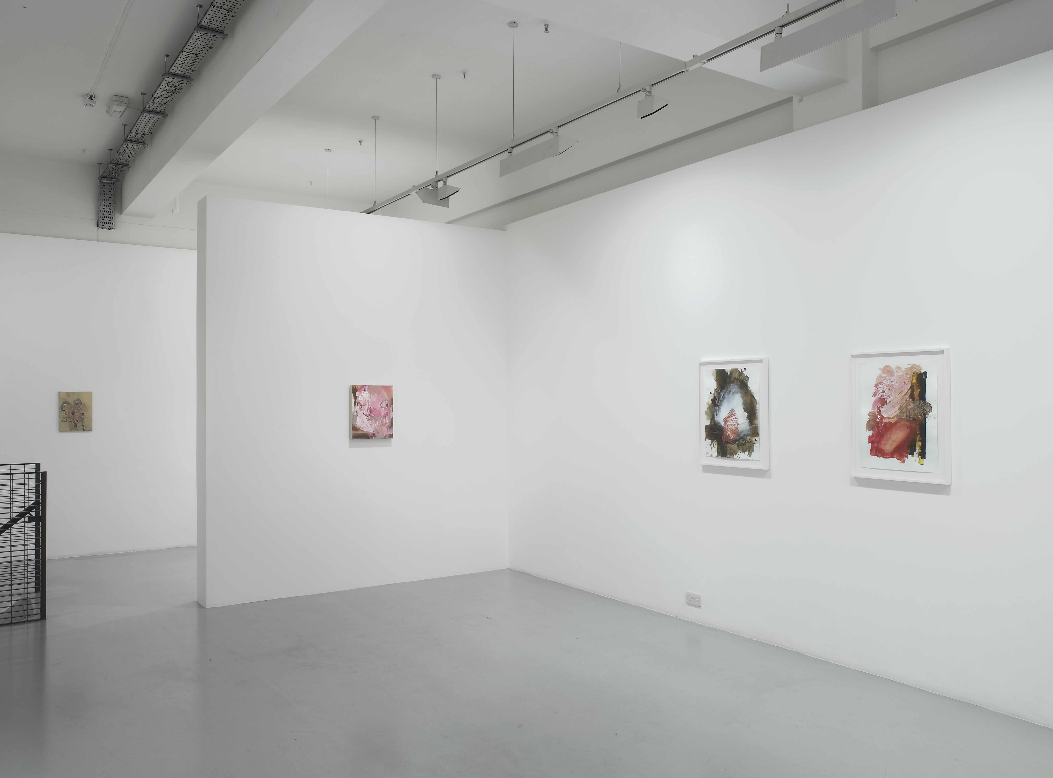 Purity is a Myth, Pilar Corrias, London, 11 June - 27 August 2010