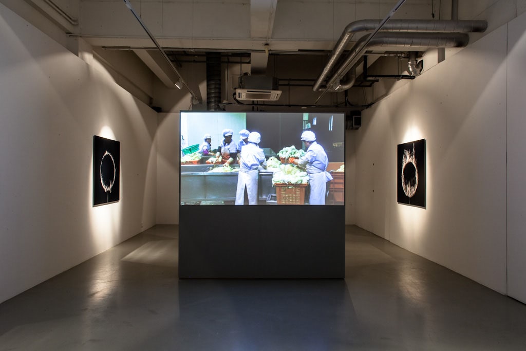 Building Stories, Pilar Corrias, London, 13 April - 18 May 2012