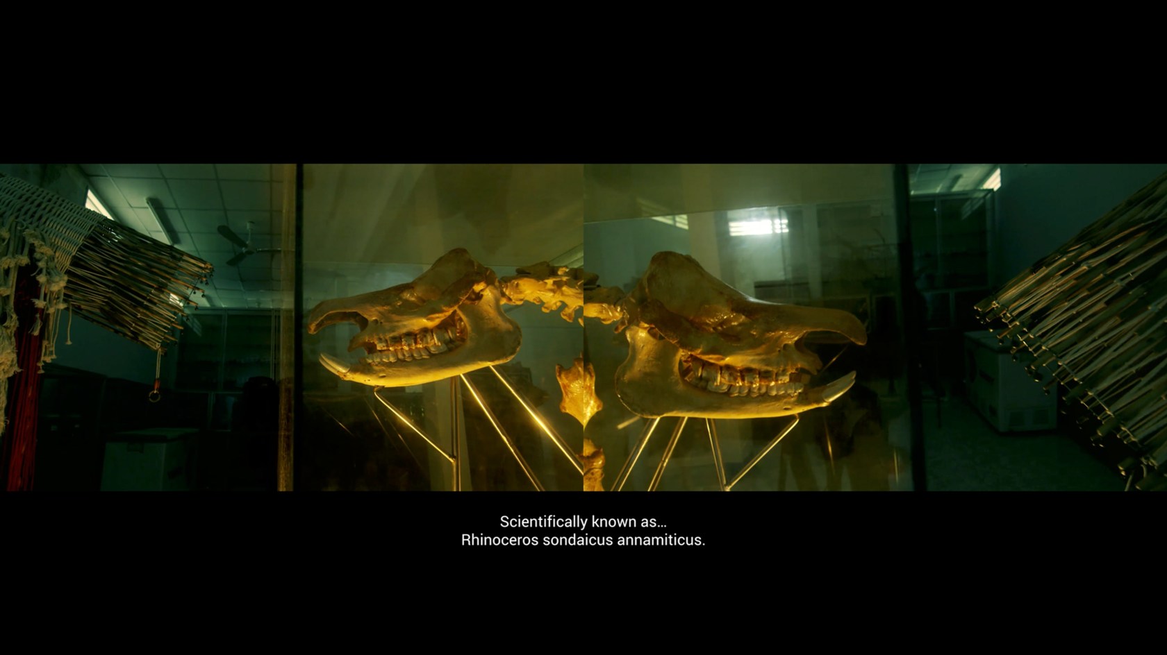 Tuan Andrew Nguyen, My Ailing Beliefs Can Cure Your Wretched Desires, 2017