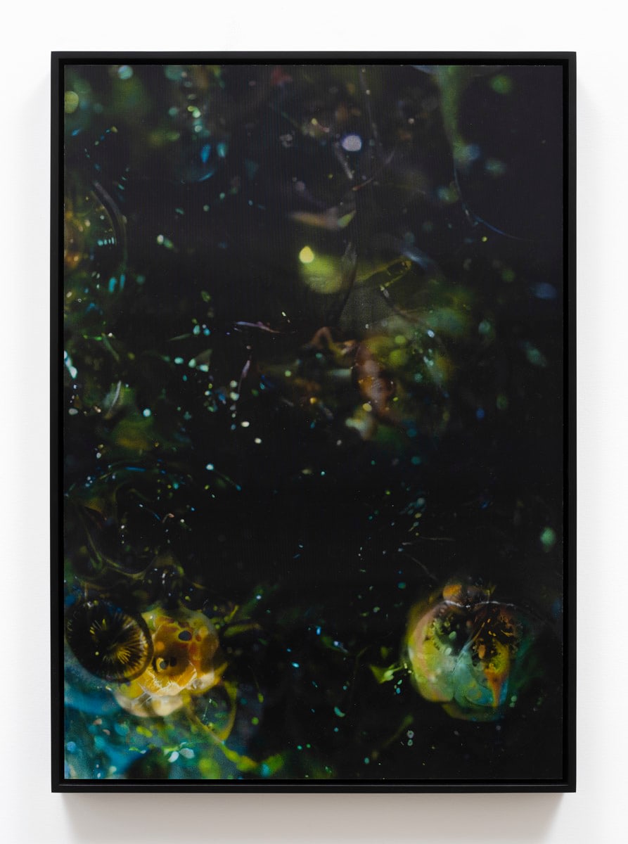 Anicka Yi, Within Emptiness 005, 2024