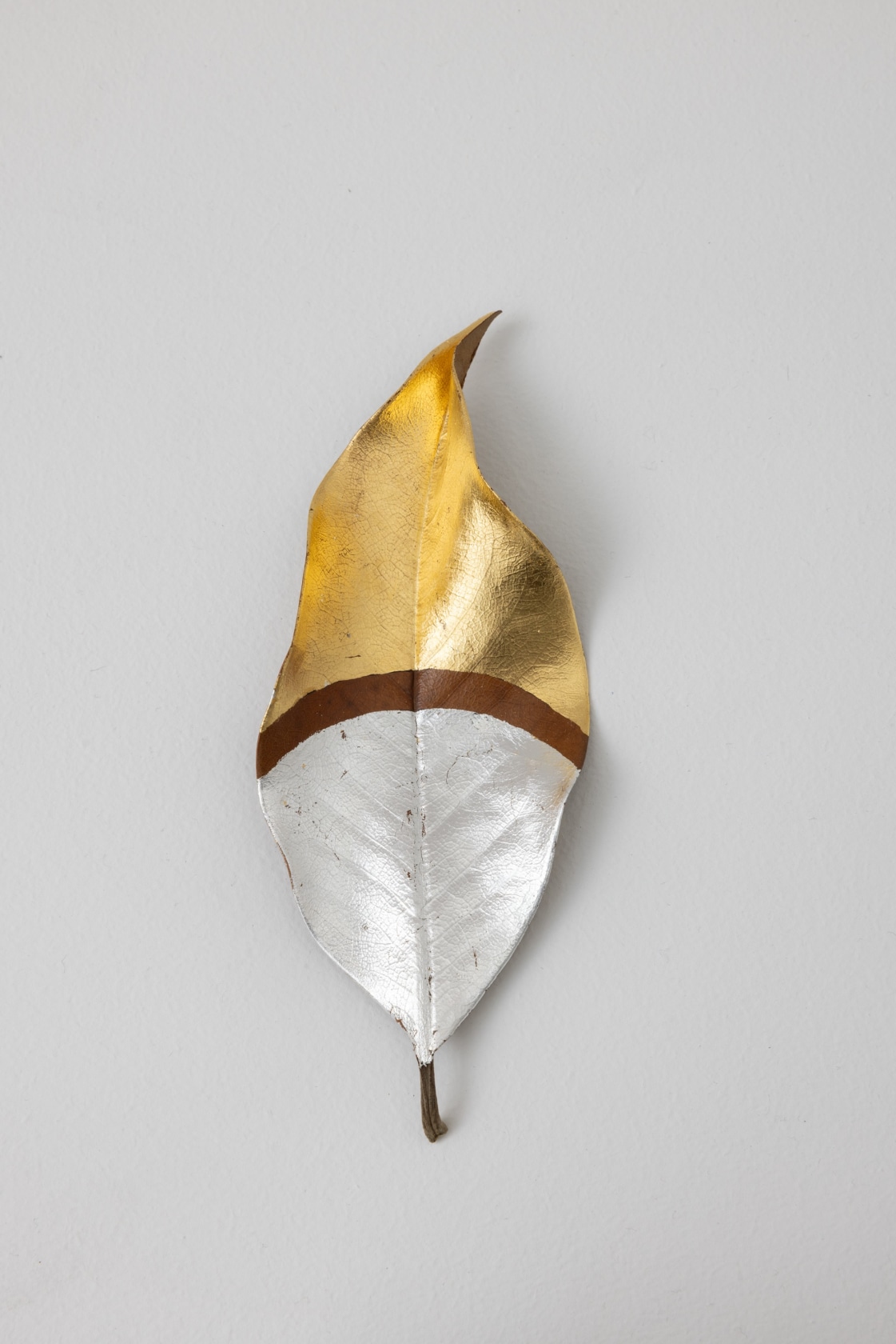 Daniel Steegmann Mangrané, Mask, 2024