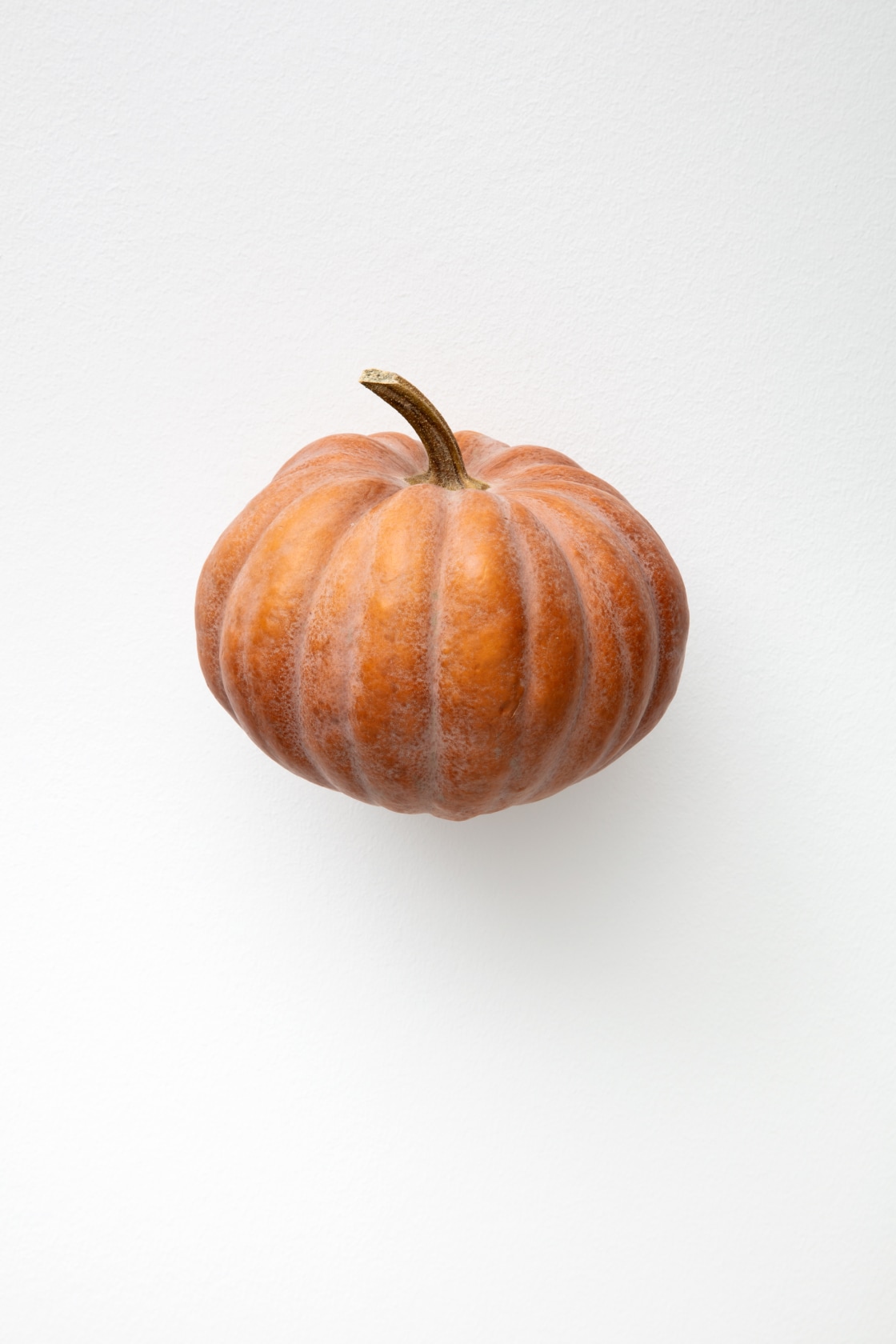 Karin Sander, Pumpkin / Kürbis, 2012