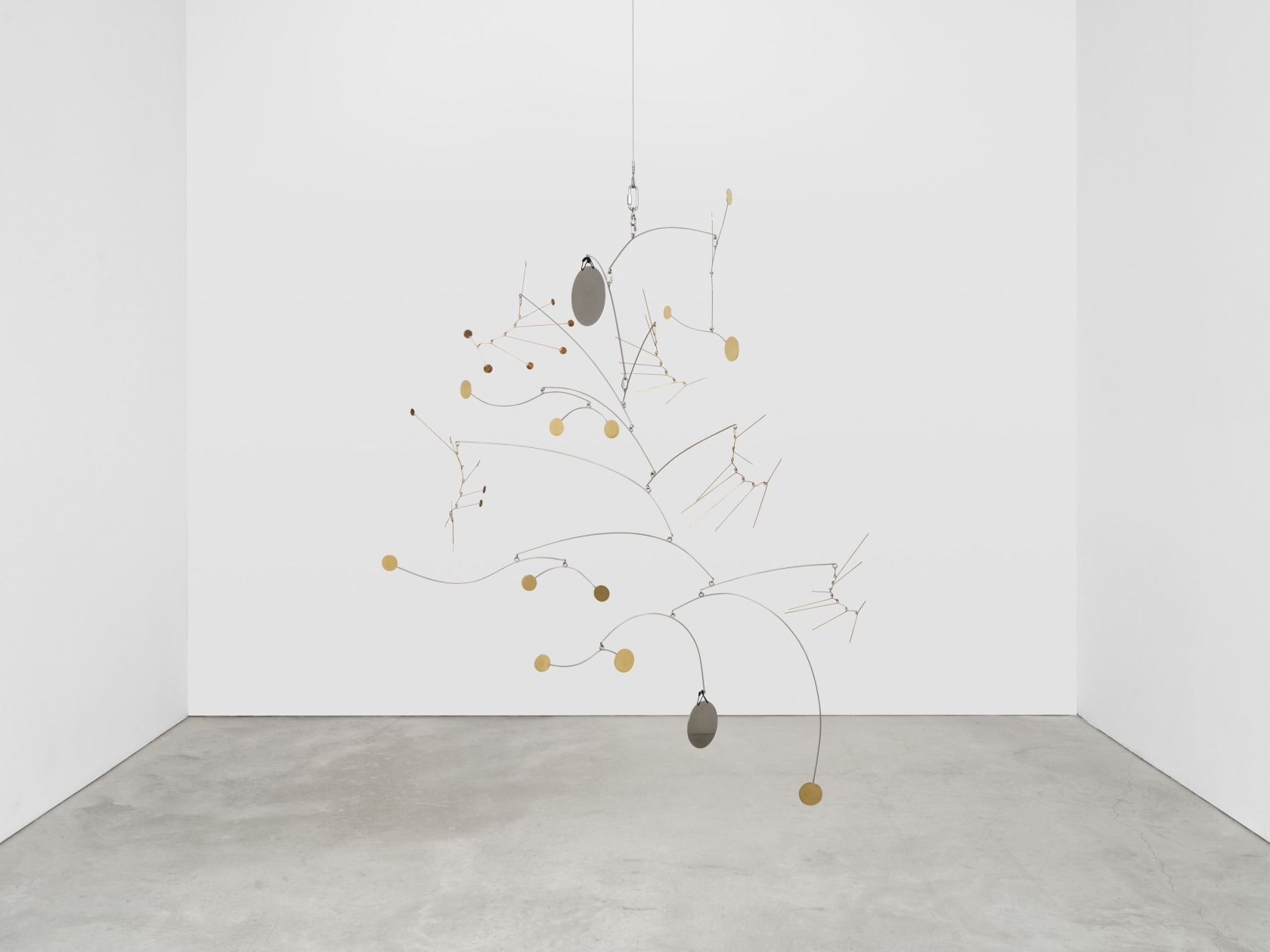 Tuan Andrew Nguyen, Dragon Tail, 2025