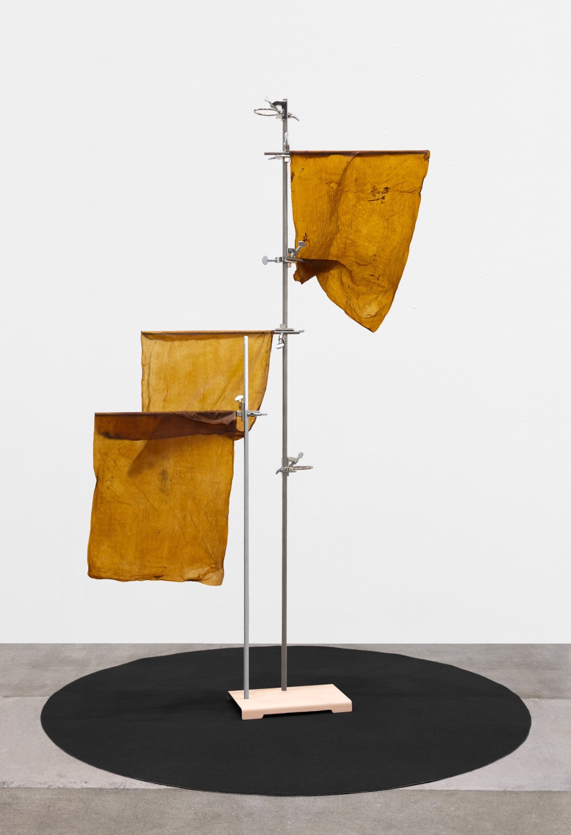 Anicka Yi, Eleanor Coppola, 2015