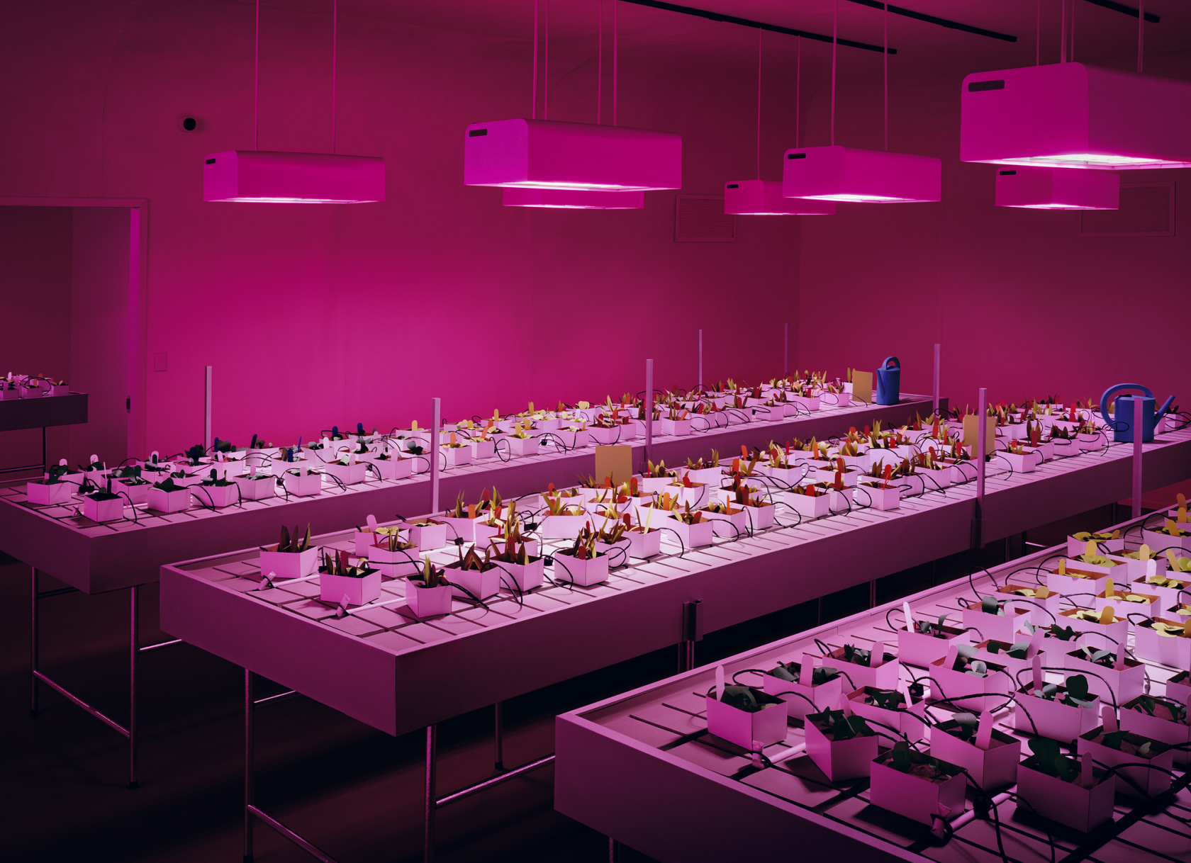 Thomas Demand, Nursery, 2020