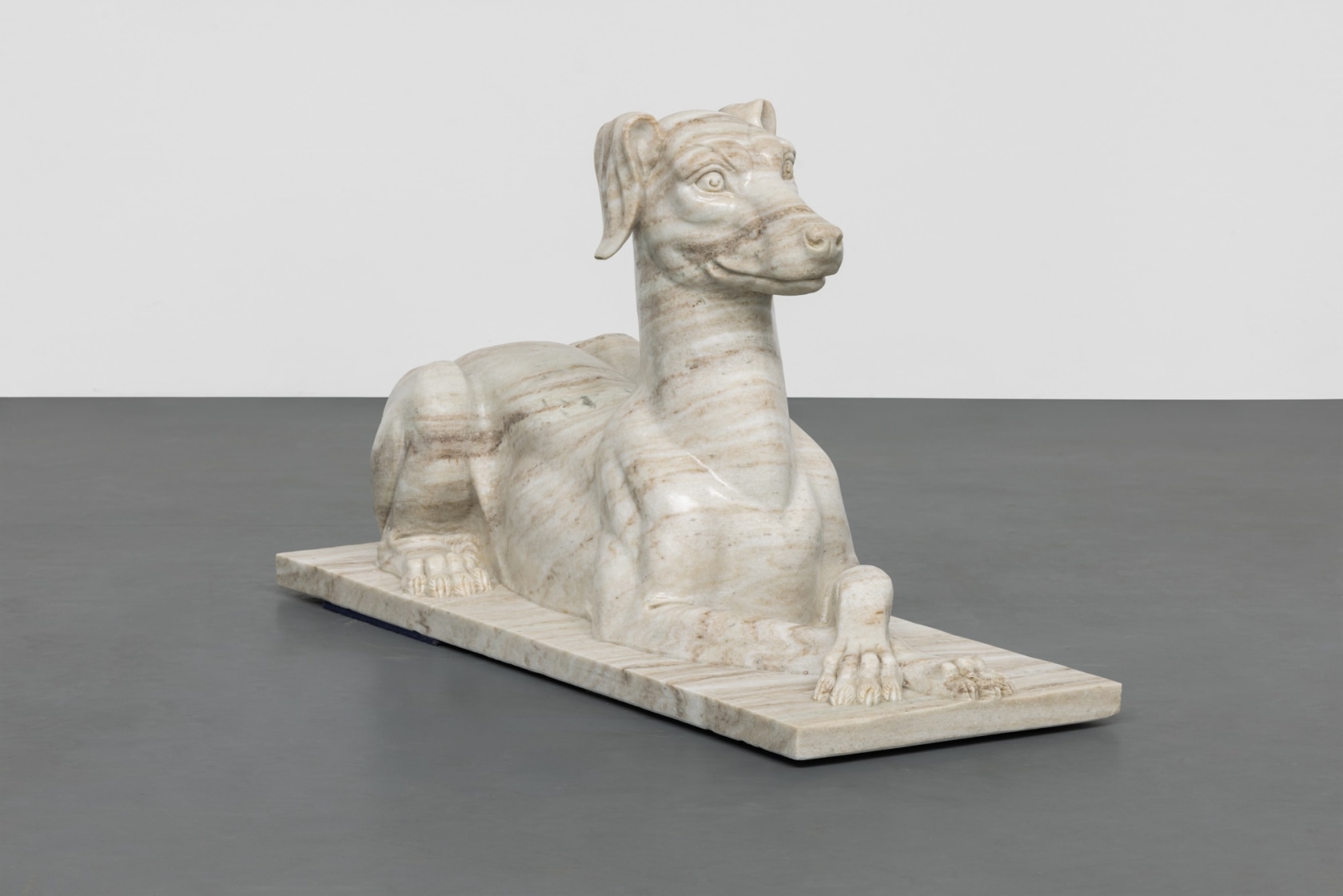 Julia Scher, Gamma, 2024