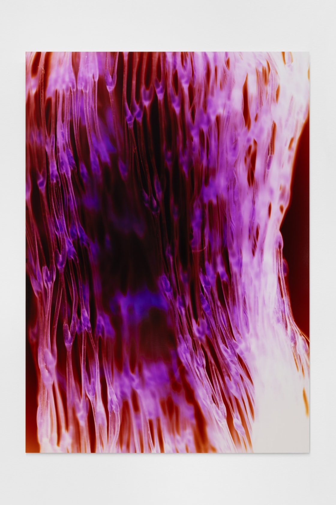 Lotus L. Kang, Synapse 18:16, 2025