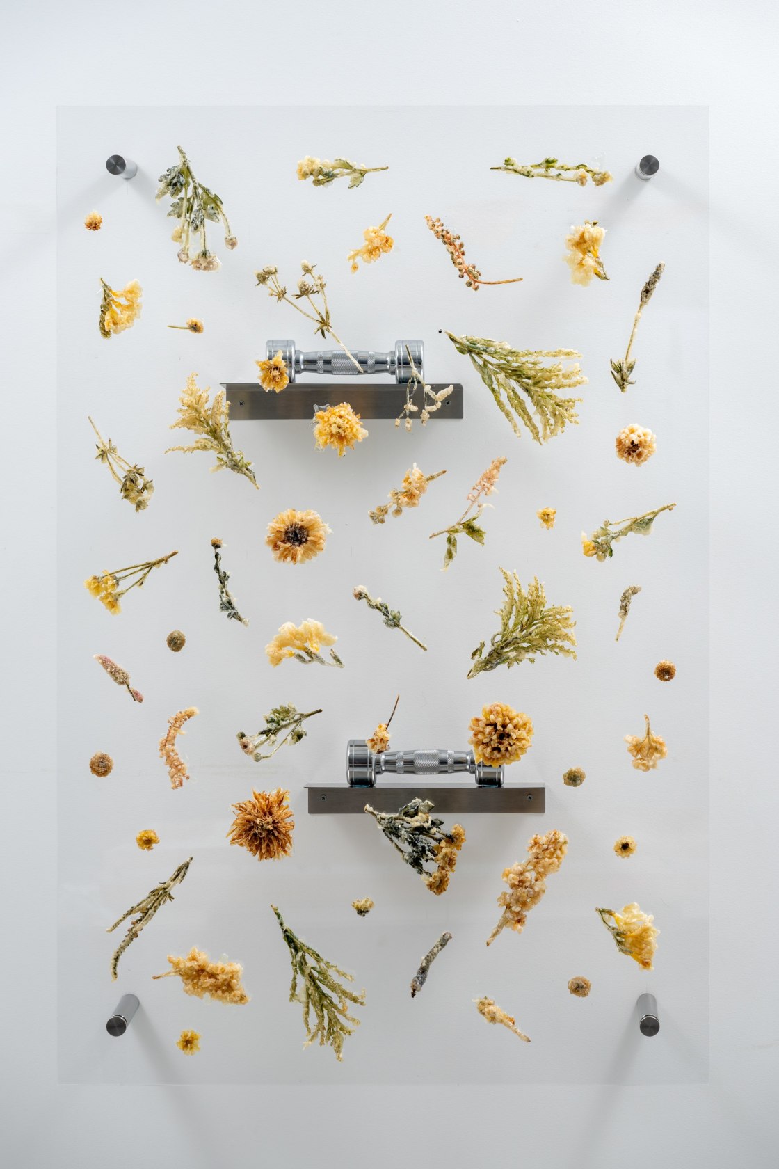 Anicka Yi Post Classical V, 2025