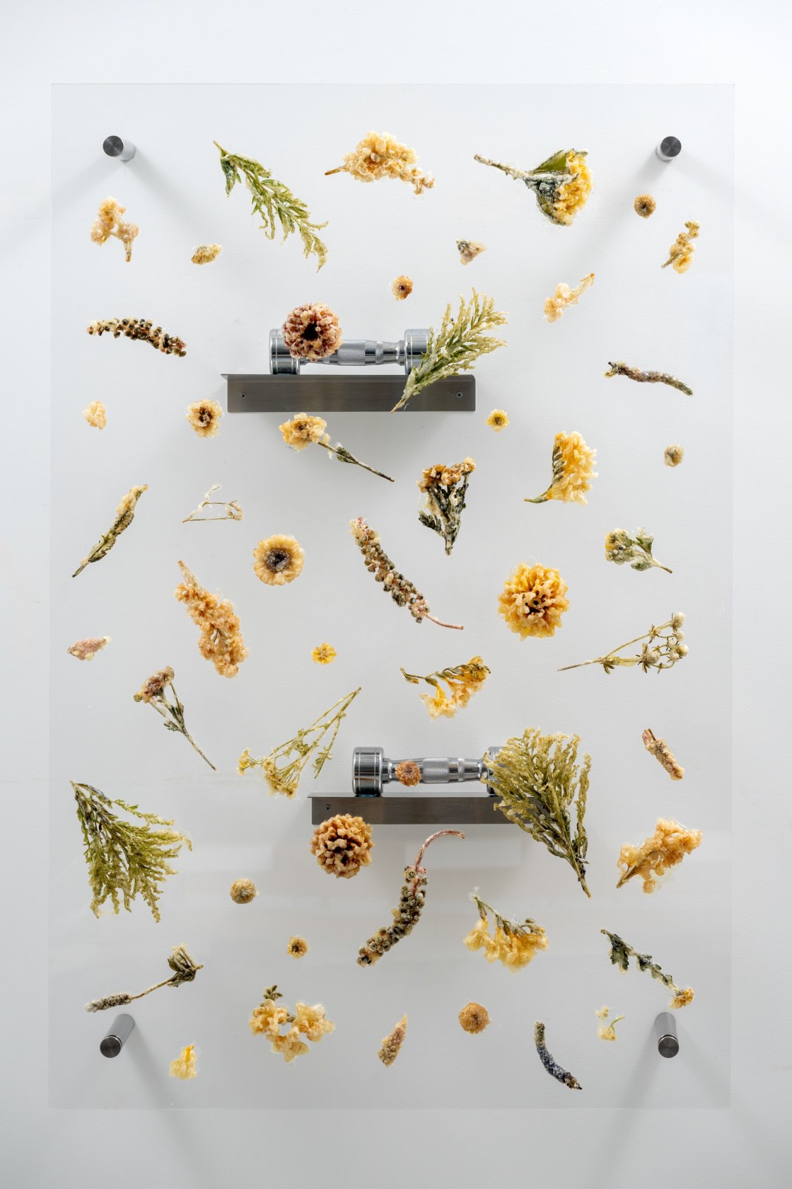 Anicka Yi, Post Classical III, 2025