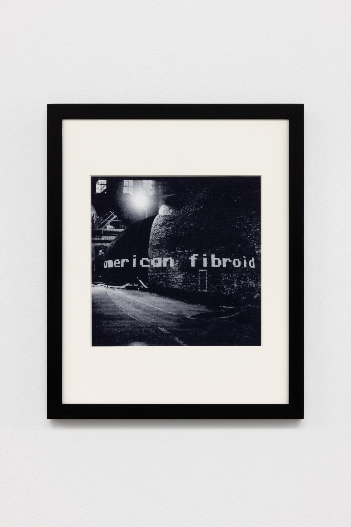 Julia Scher, American Fibroids 3, 1995/1996