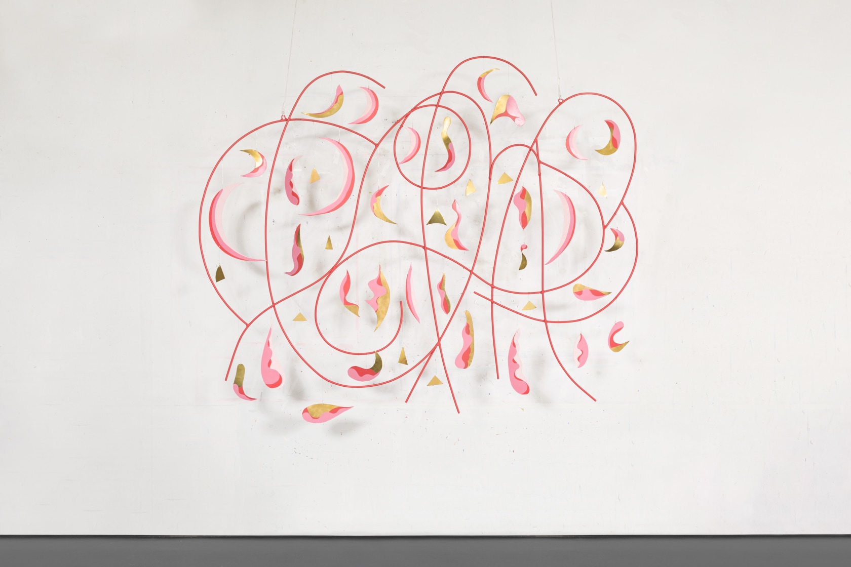 Nathan Carter, Circa Rouge Curvalish-Curvalash Constellation Cassiopeiae, 2022