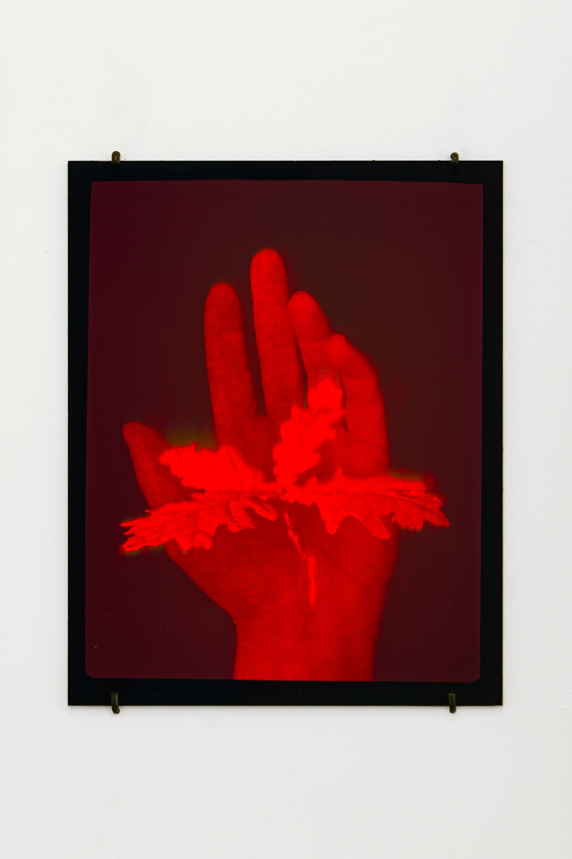 Daniel Steegmann Mangrané, Hologram (sprouting hand), 2021